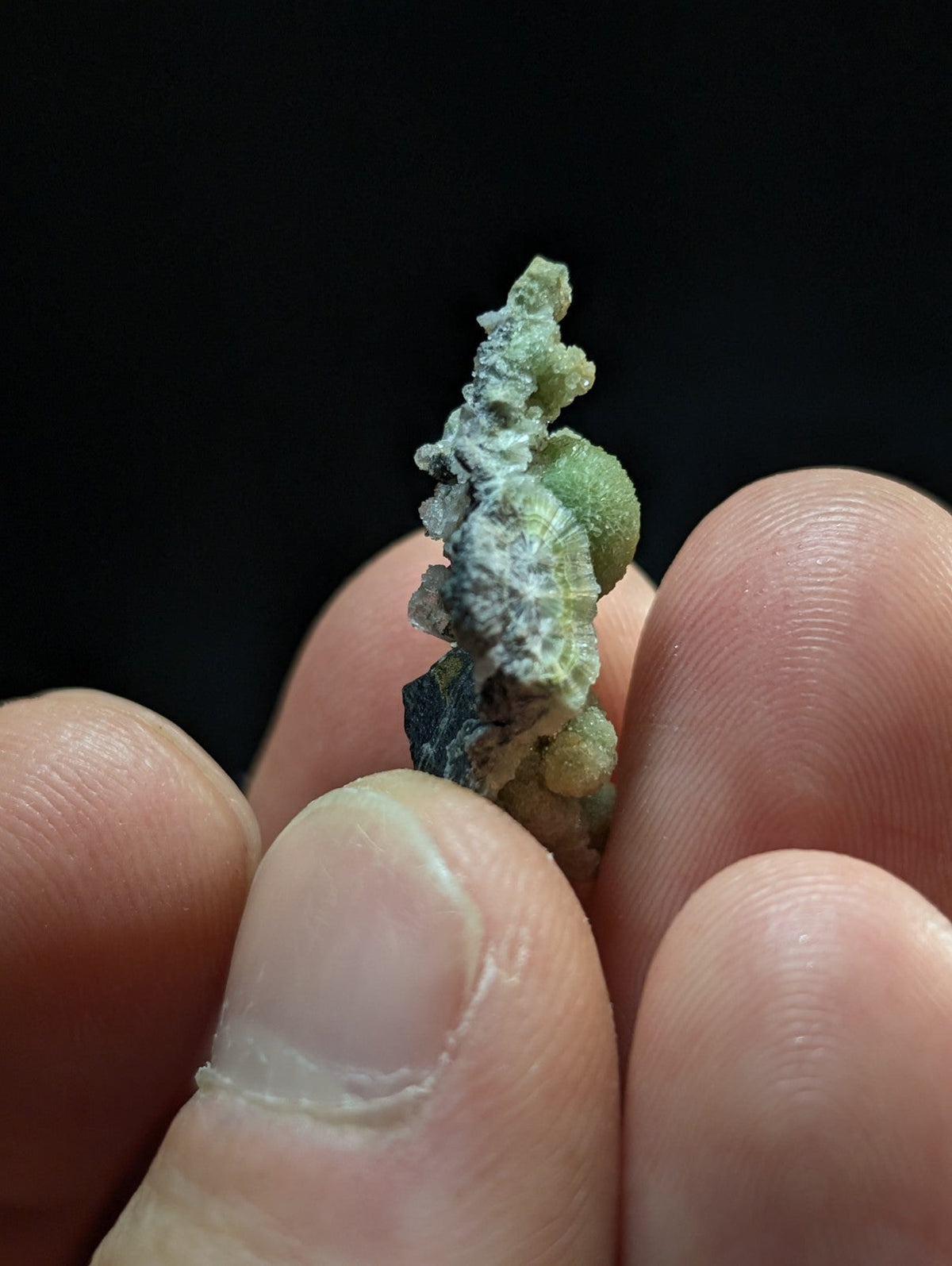 A textured, greenish mineral specimen with a rough, crystalline surface and patches of white coating.