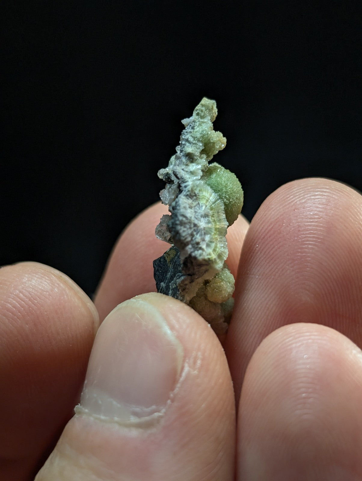 A textured, greenish mineral specimen with a rough, crystalline surface and patches of white coating.