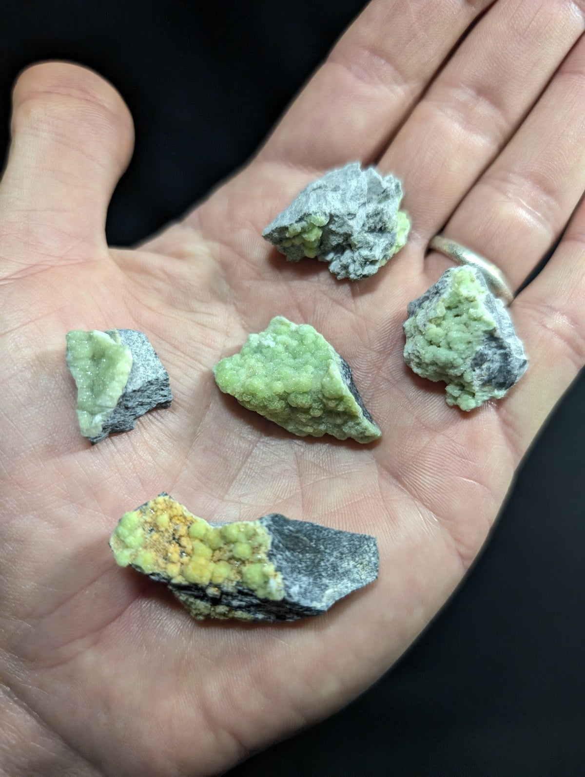 Hand holding five irregularly shaped pieces of green and gray mineral specimens with yellowish patches, showcasing natural crystalline formations.