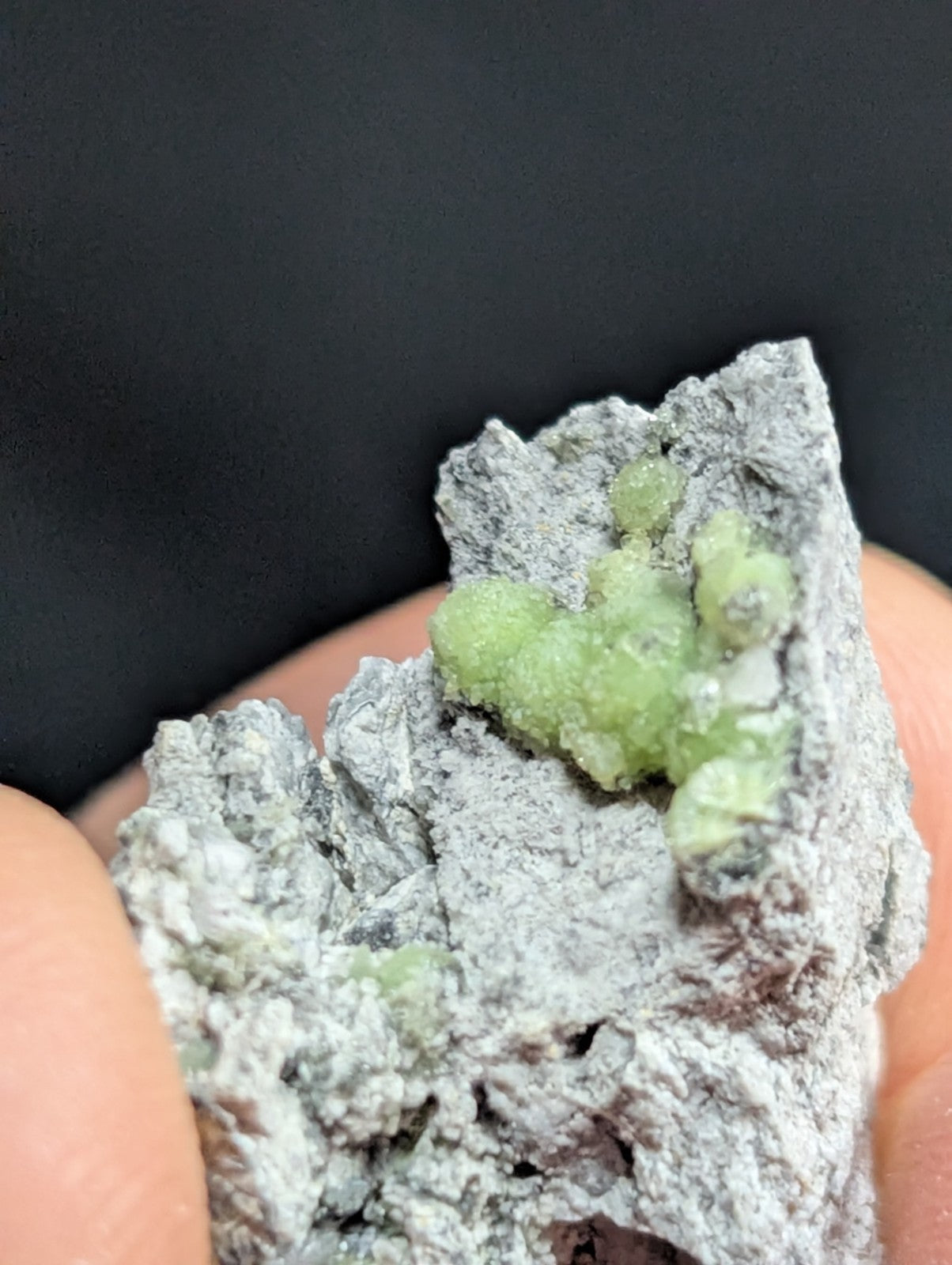 A cluster of translucent, light green crystals nestled within a rough-textured gray rock matrix.