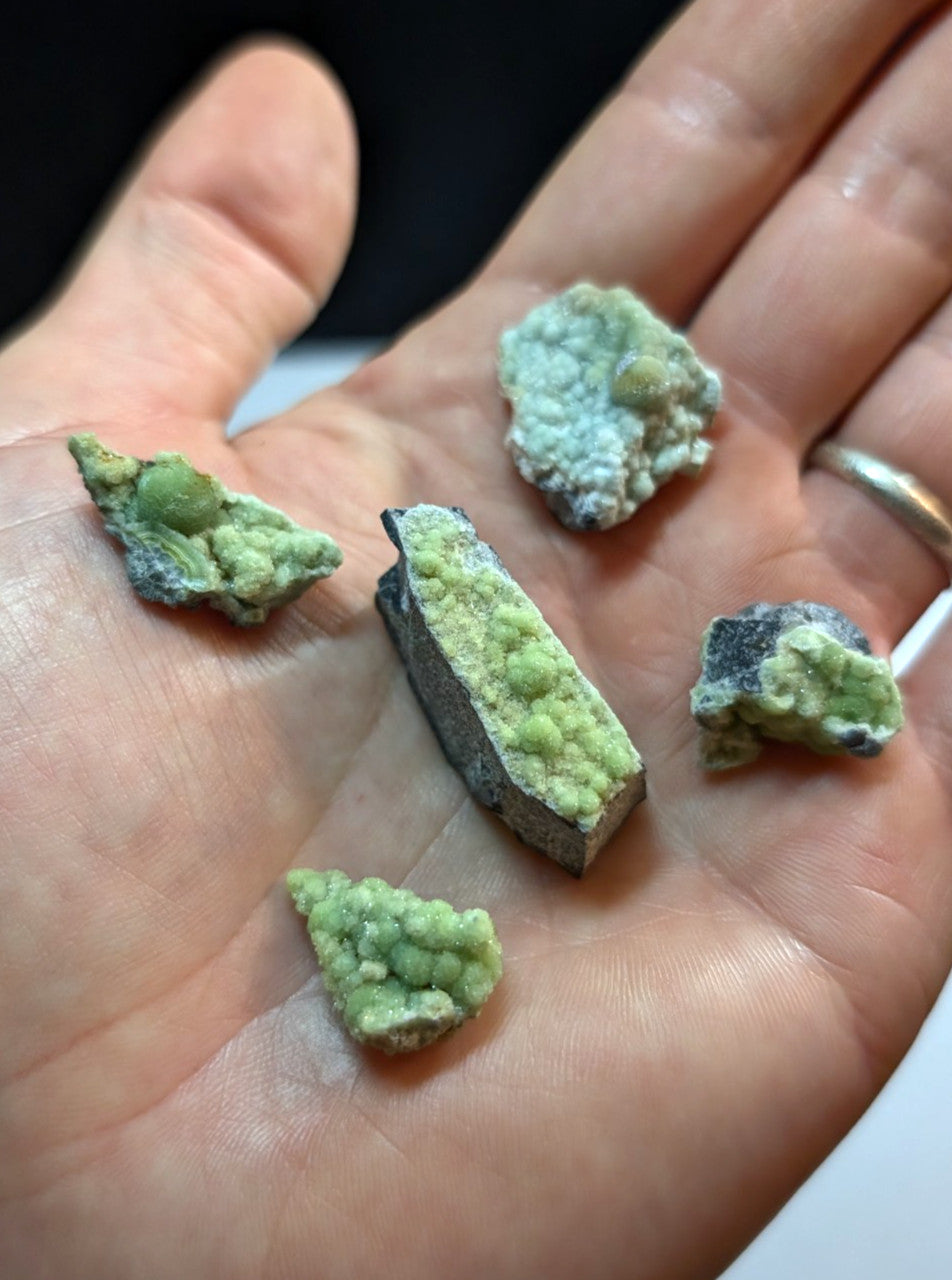 A hand holds several irregularly shaped green mineral specimens with a textured, crystalline surface and some displaying darker gray or black matrix.