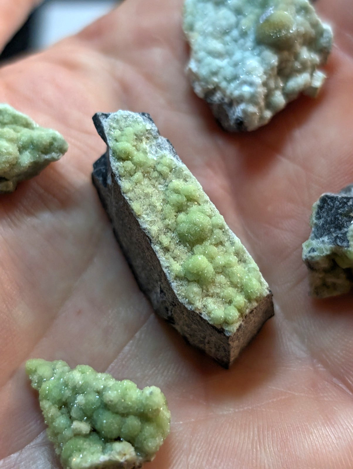A hand holds a rectangular piece of green mineral with rounded, clustered crystals growing from a dark matrix.
