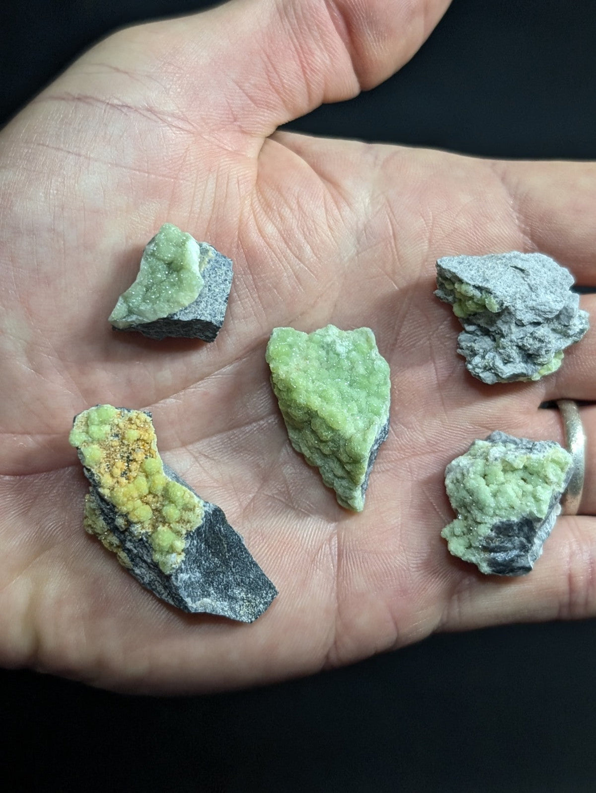 A hand holds five irregularly shaped pieces of green and gray mineral specimens, some with yellowish patches.