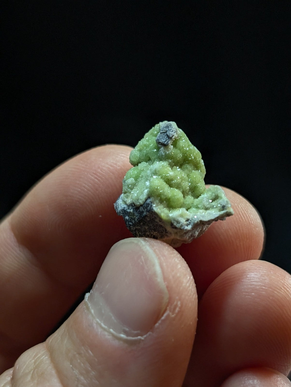 A small, textured green mineral specimen with a crystalline surface and dark gray base.