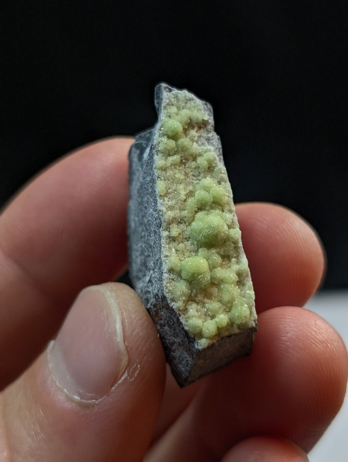 A hand holds a dark gray rock specimen featuring vibrant, light green mineral crystals growing in clusters along its surface.