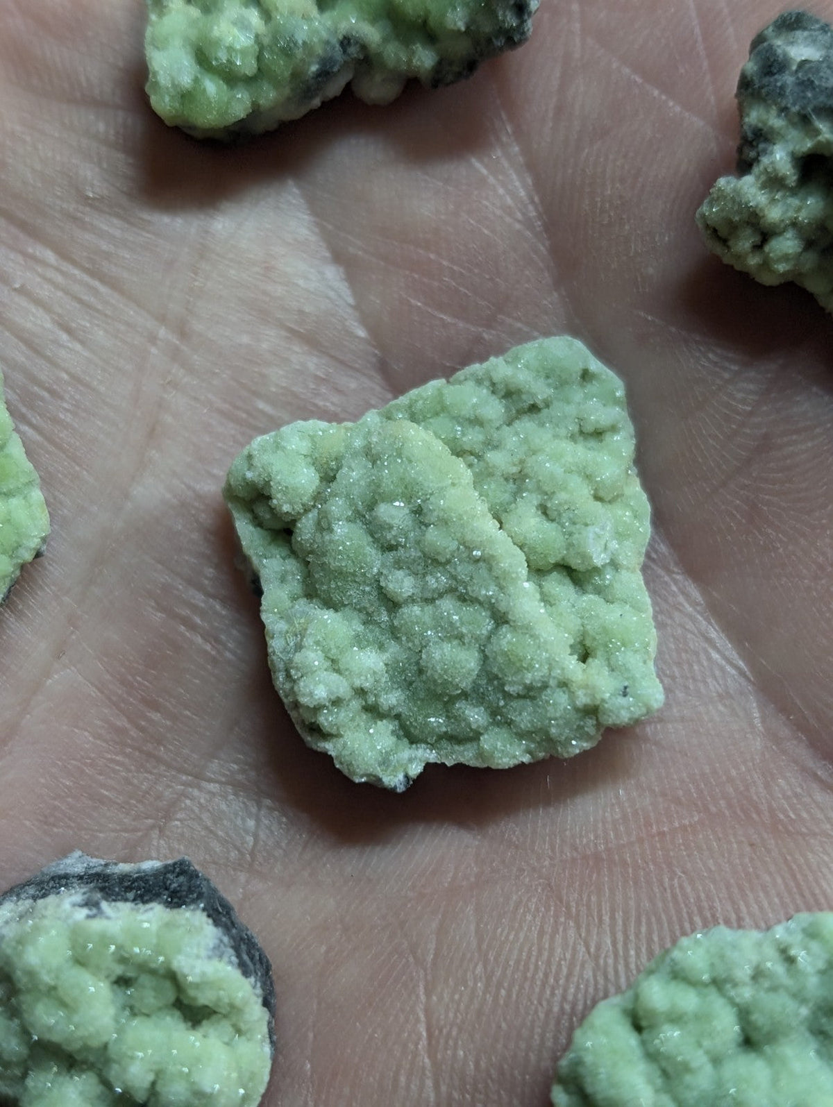 Light green, textured mineral specimens with a crystalline surface.