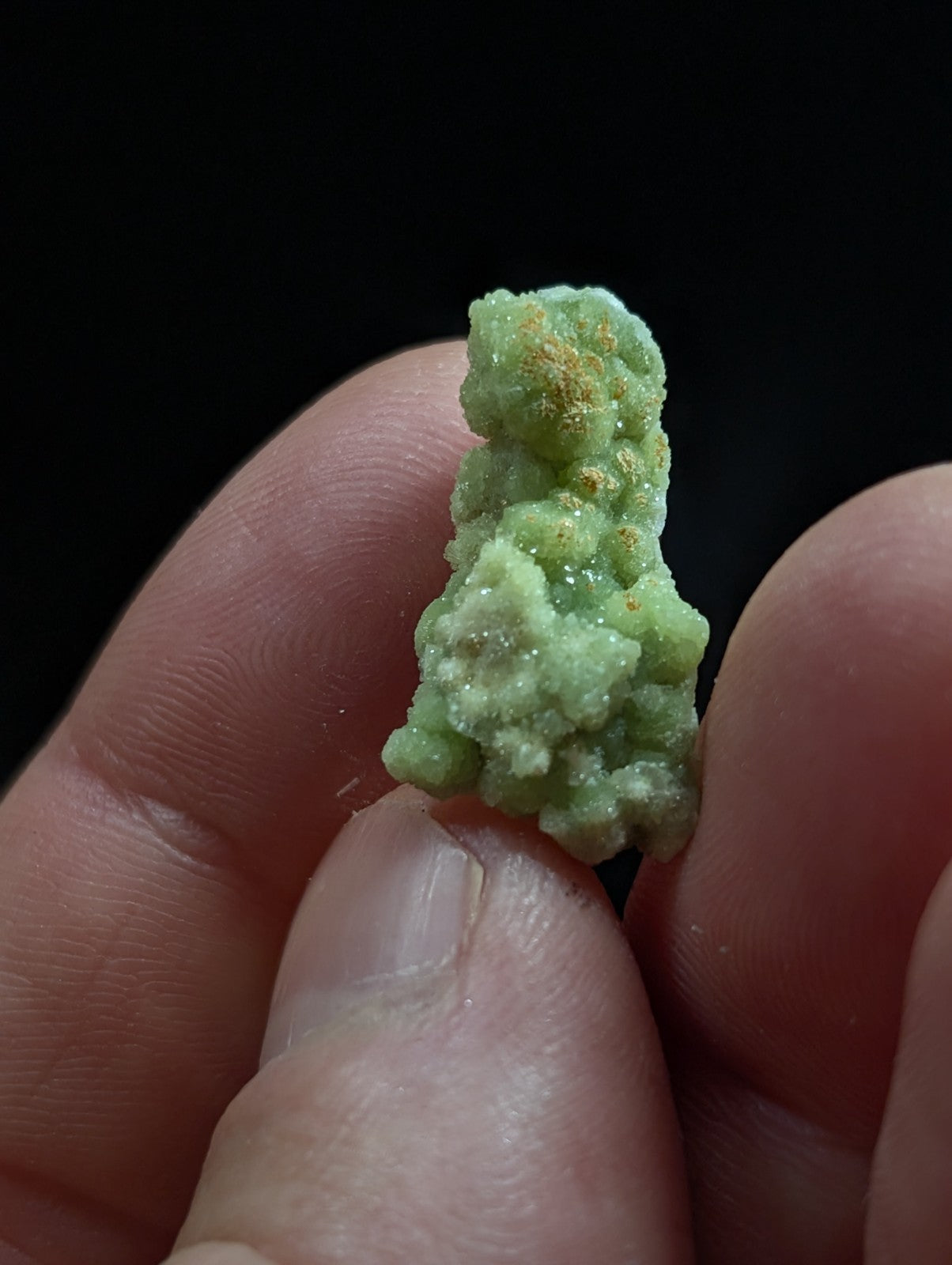 A small, textured green cannabis bud with a crystalline surface and subtle golden specks.