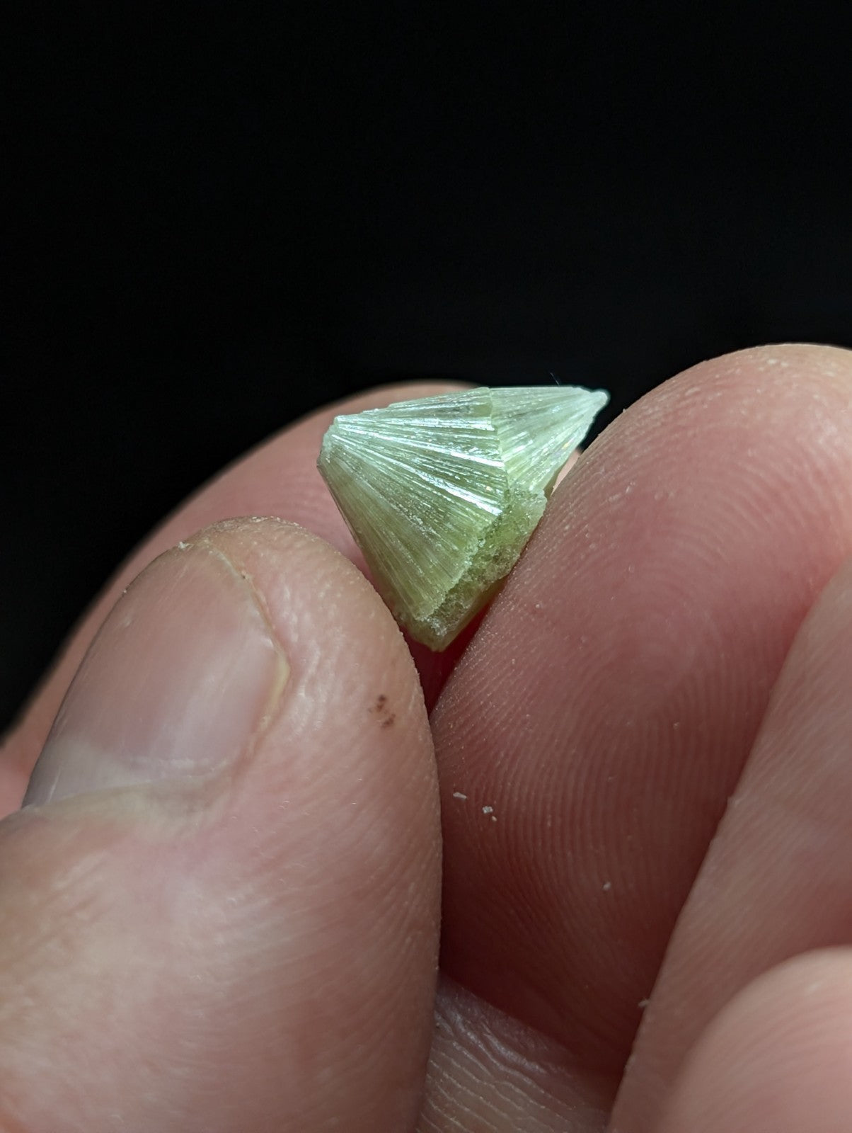 A delicate, translucent light green crystal with a fan-like internal structure and pointed tip.