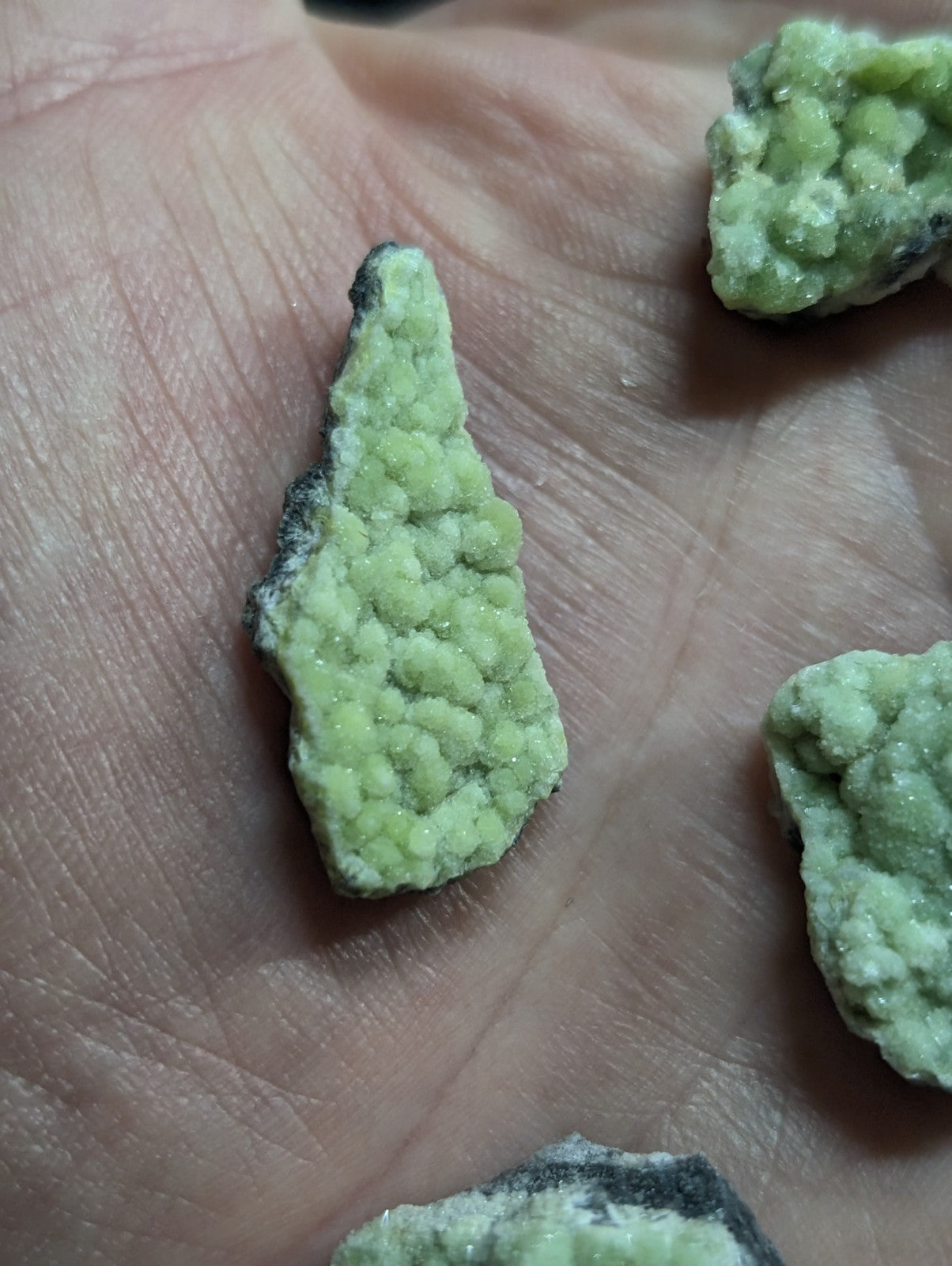 A pale green, textured mineral specimen with a rough, crystalline surface and darkened edges.