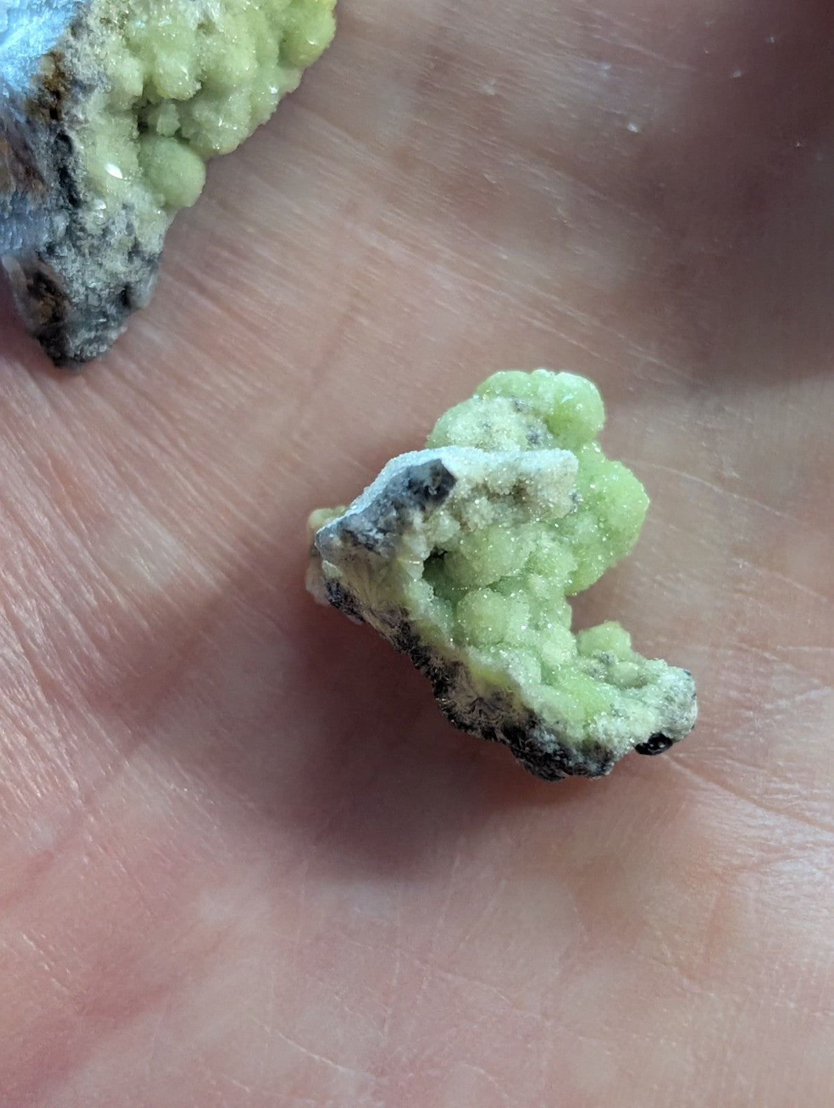 A small, irregularly shaped mineral specimen with a vibrant green crystalline structure and dark gray matrix.