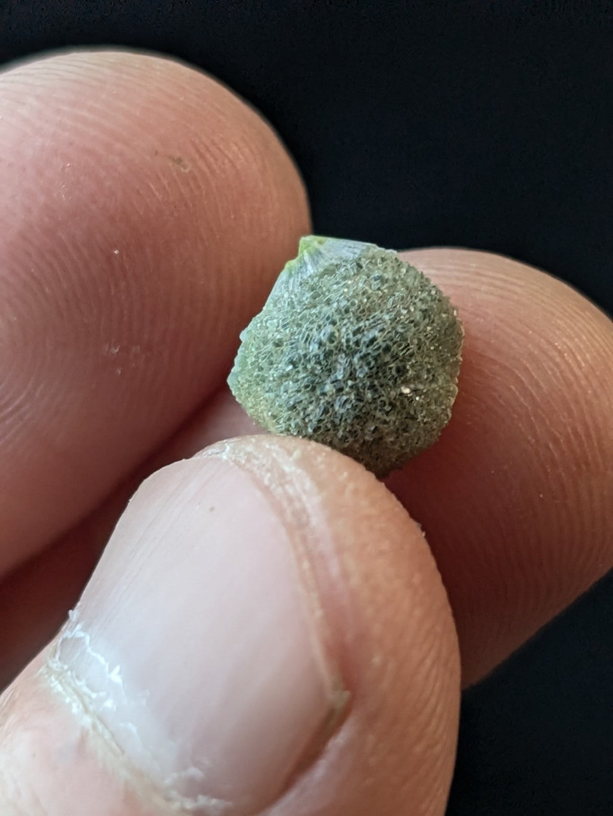 A small, round, greenish-gray mineral specimen with a rough, textured surface held between fingers.