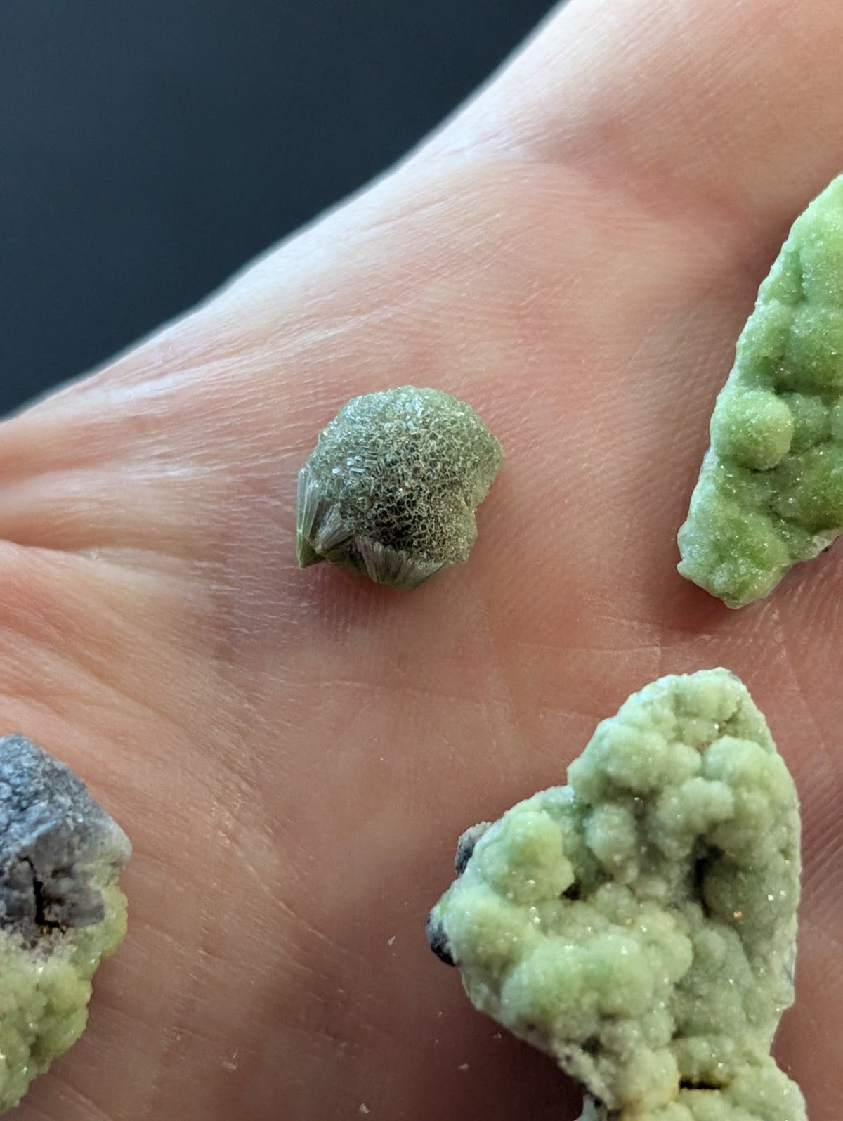 Green, textured mineral specimens with crystalline formations rest in the palm of a hand.