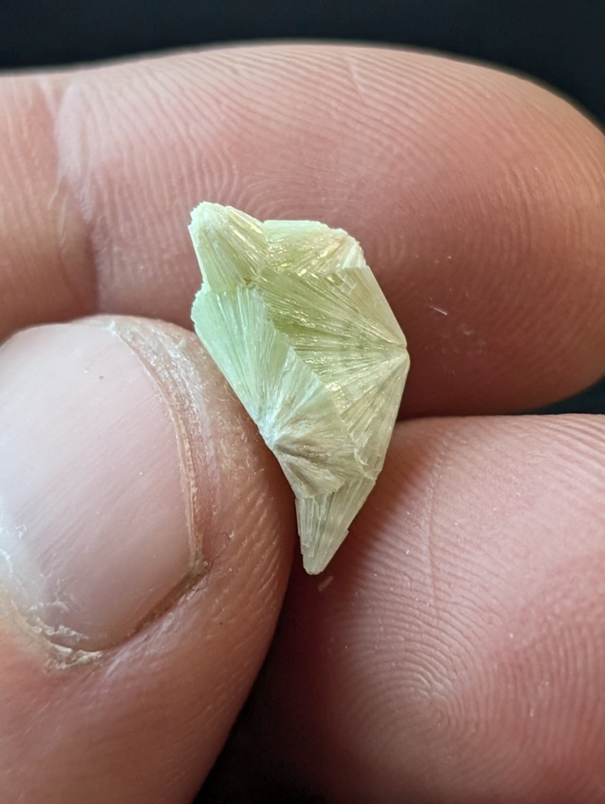 A delicate, pale green mineral specimen with a crystalline, fan-like structure held gently between fingers.