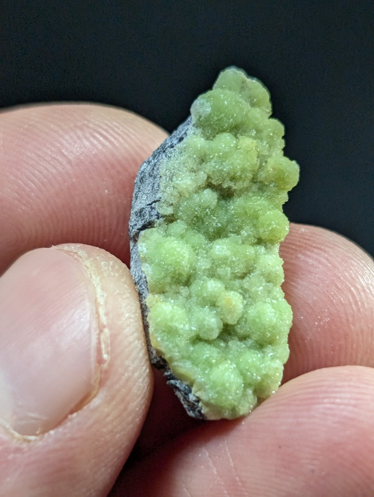A vibrant green, crystalline mineral specimen with a textured, bumpy surface and dark gray base.