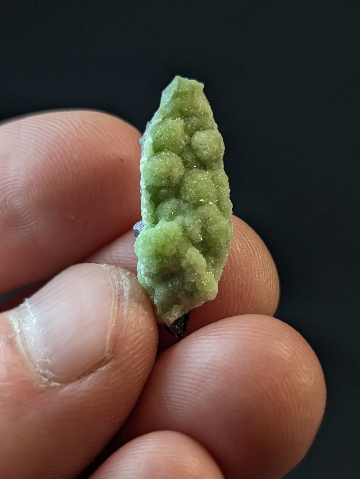 A delicate, light green mineral specimen with a textured surface featuring rounded nodules and crystalline formations.