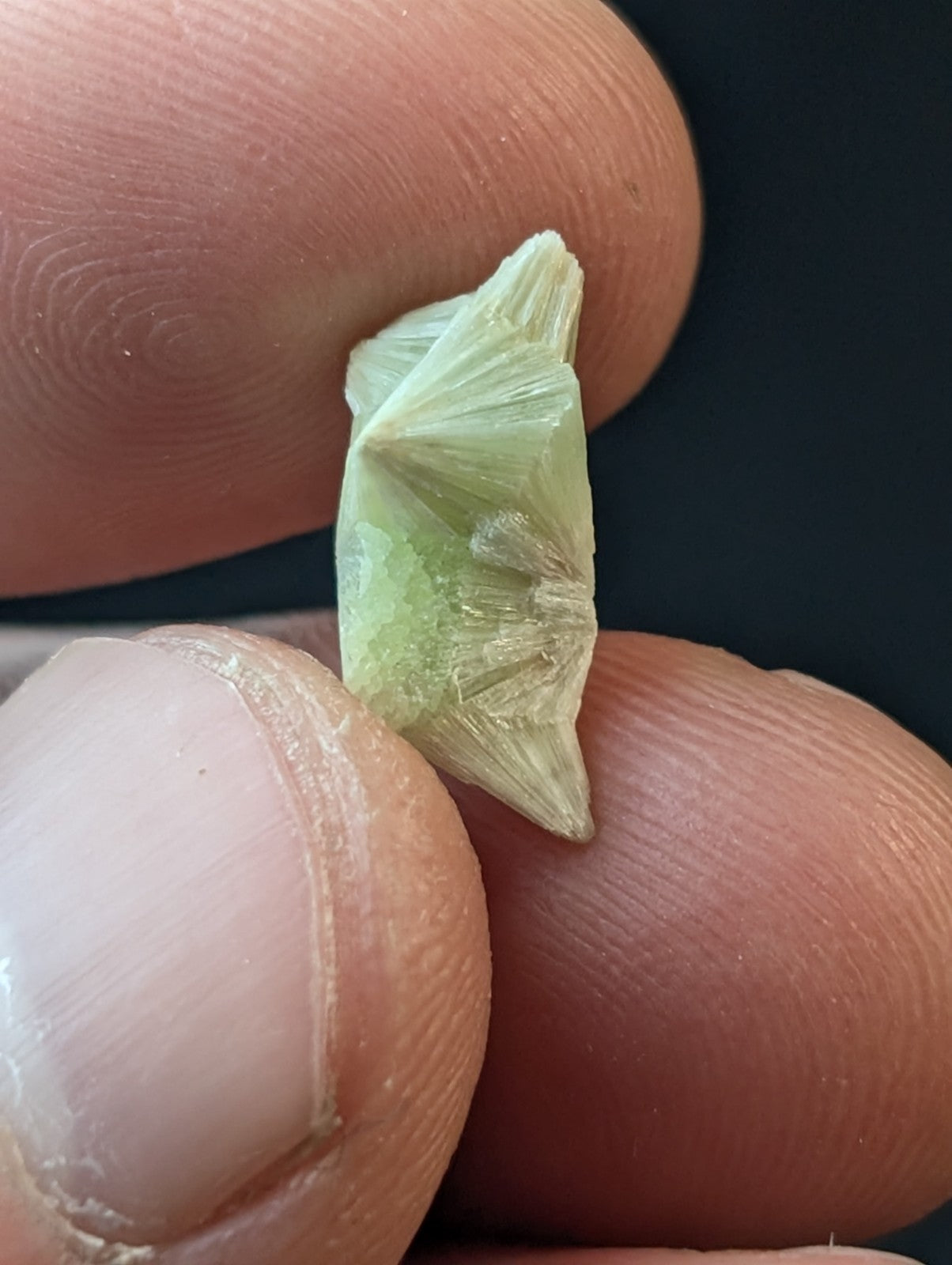 A delicate, pale green mineral crystal with a fan-like, geometric structure and translucent facets.