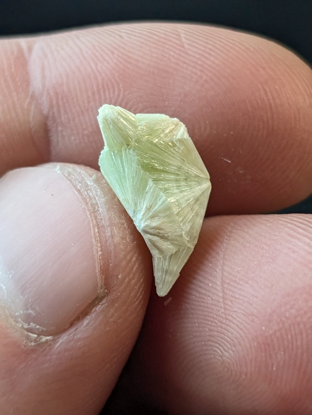 A delicate, pale green mineral specimen with a crystalline, fan-like structure held gently between fingers.