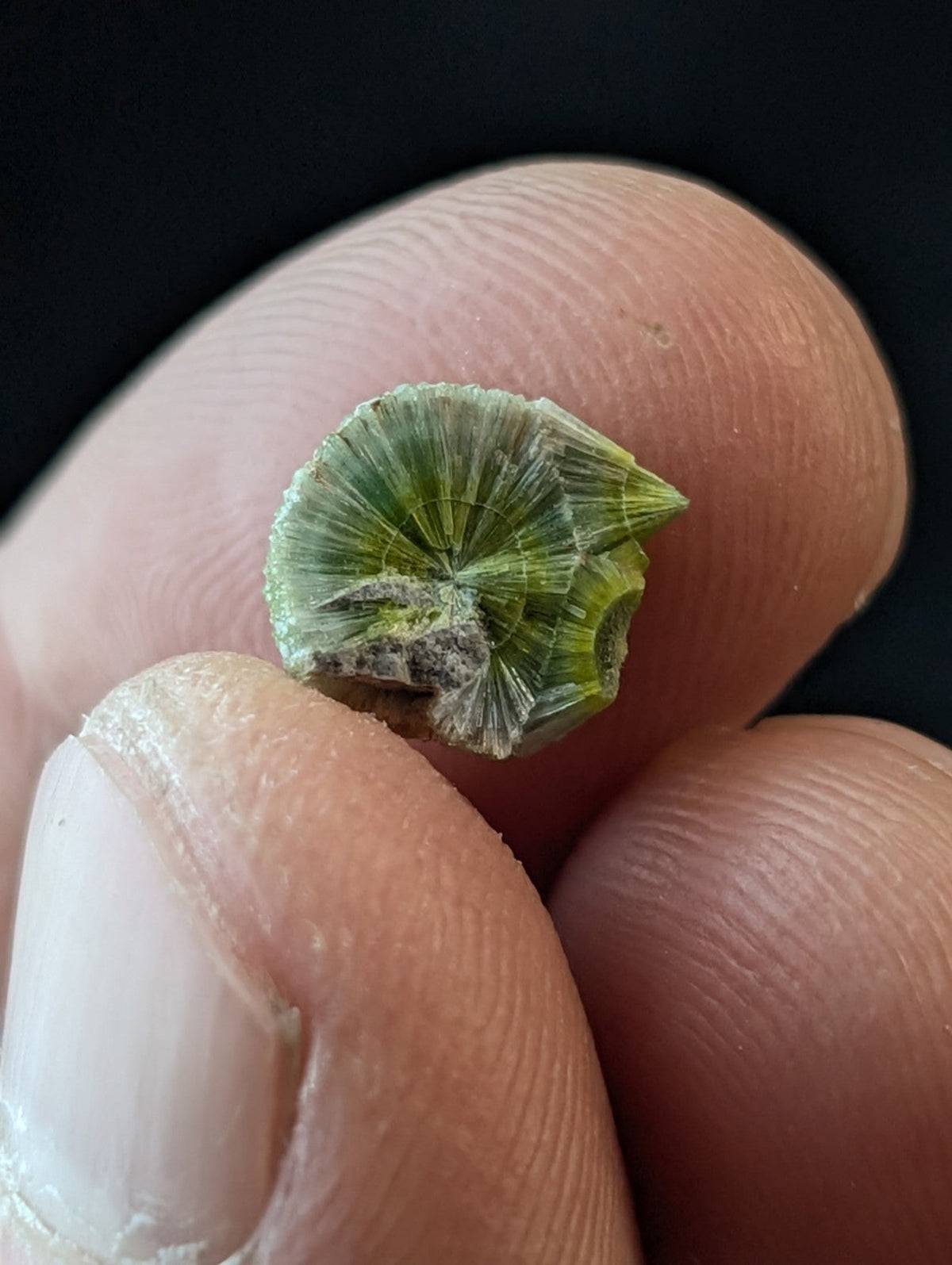A small, green mineral specimen with a radiating crystalline pattern and slightly rough texture.