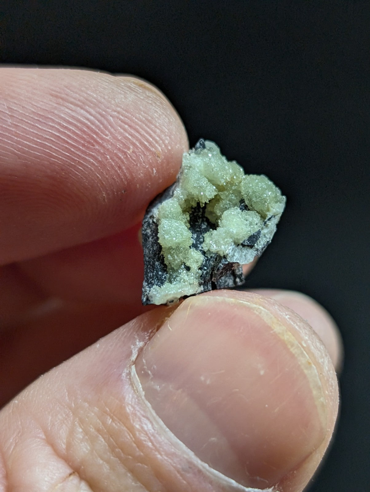 A delicate, pale green mineral specimen with a crystalline texture and dark base.