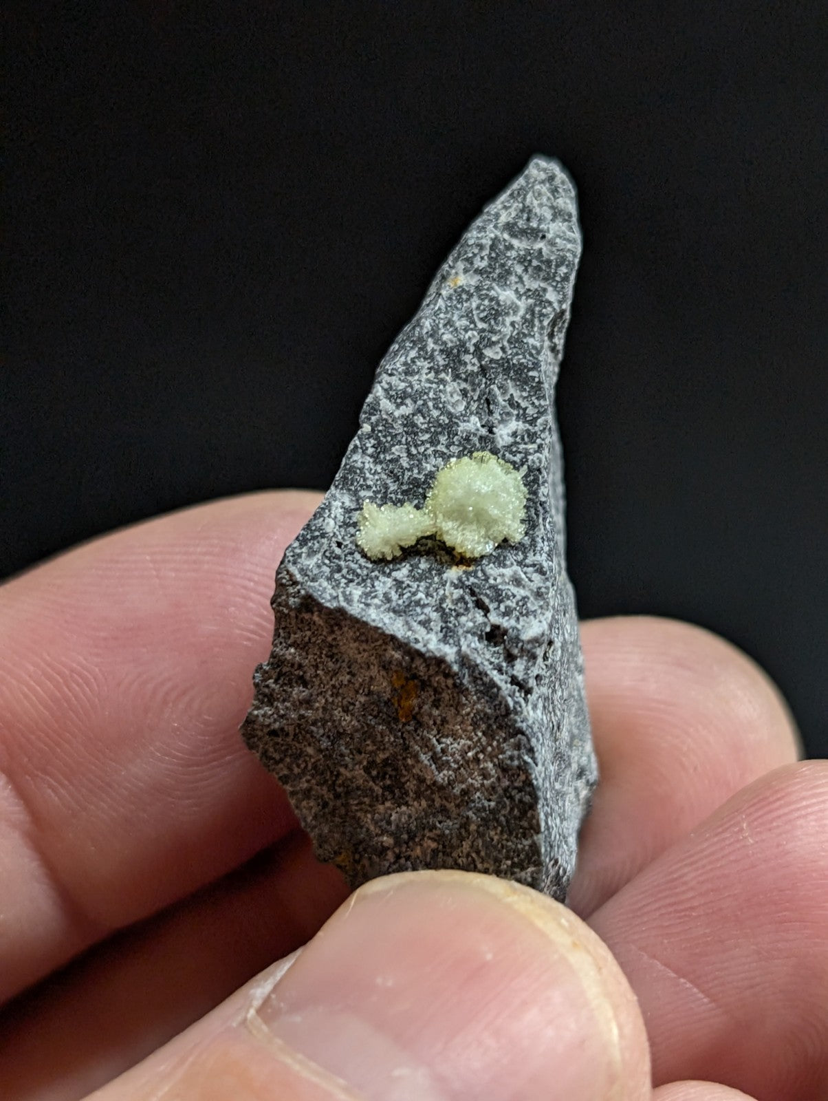 A gray, speckled rock fragment with two small, pale green mineral formations on its surface.