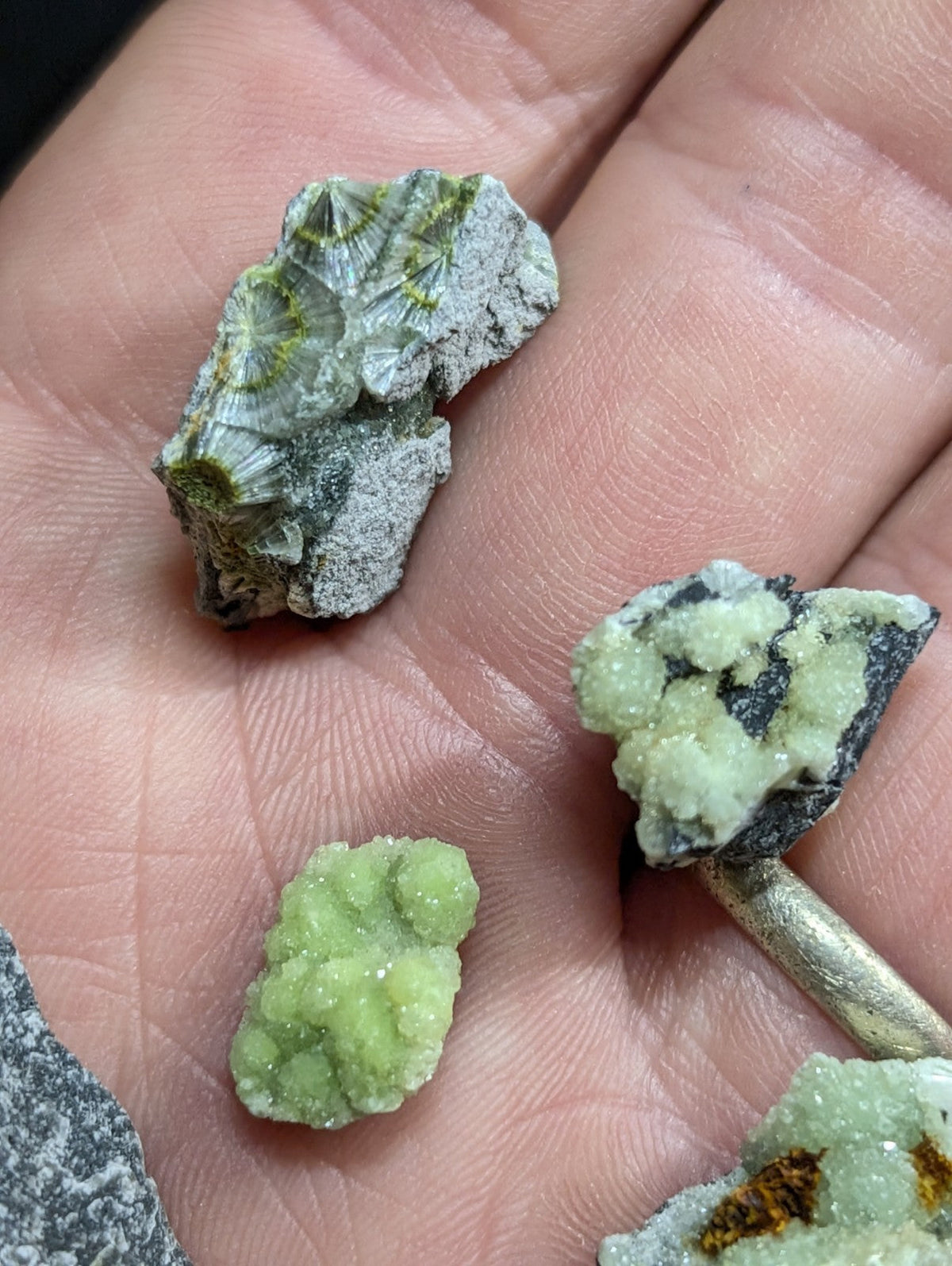 A hand holds a set of three distinct green wavellite mineral specimens from Mauldin Mountain Arkansas old stock