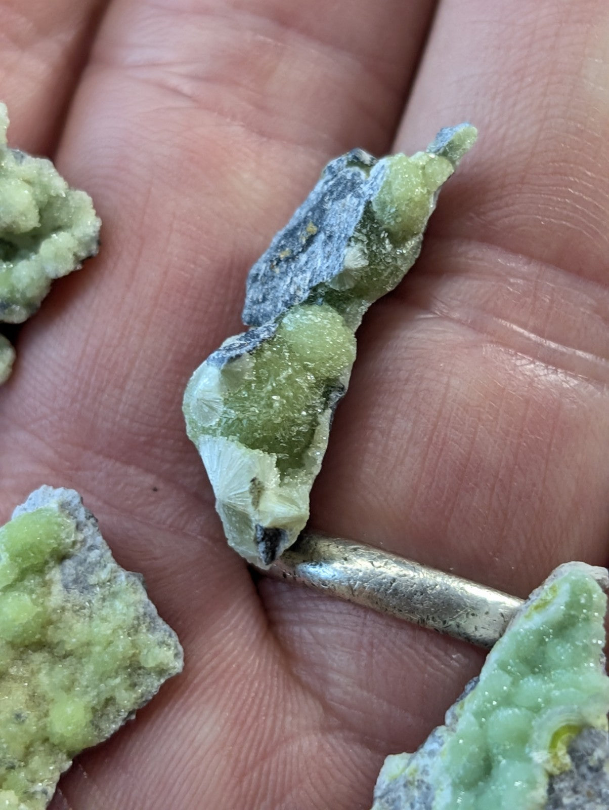 A hand holds a cluster of green, crystalline mineral specimens with rough, jagged edges and patches of grayish matrix.