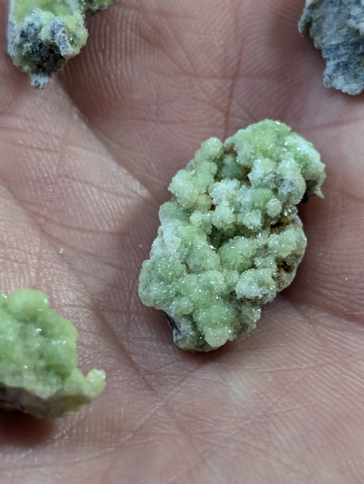 A cluster of light green, crystalline minerals with a rough, textured surface resting in the palm.