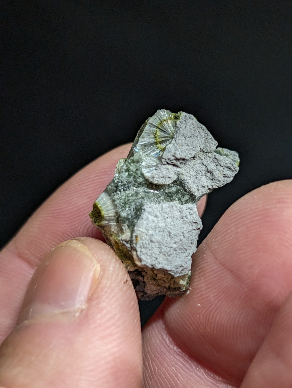 A green and gray fossilized seashell embedded in a rough, textured rock matrix.