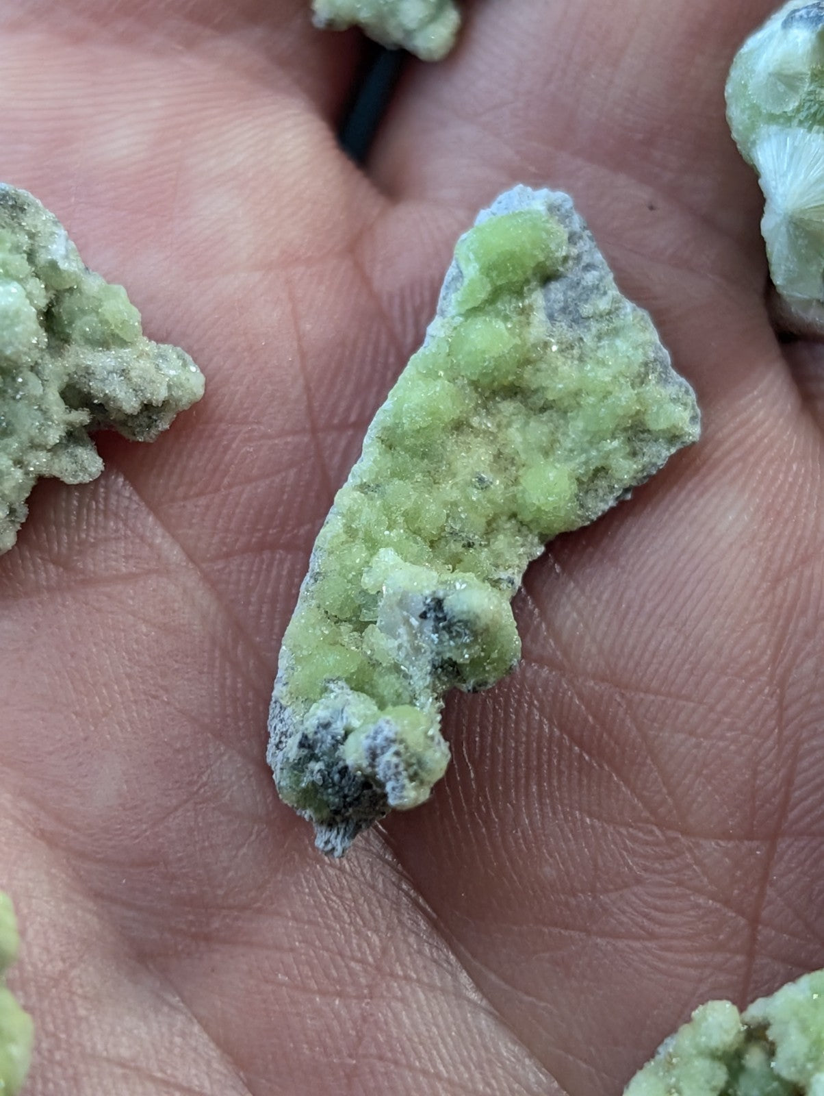 A hand holds a cluster of light green, crystalline mineral specimens with rough, textured surfaces and some darker grayish patches.