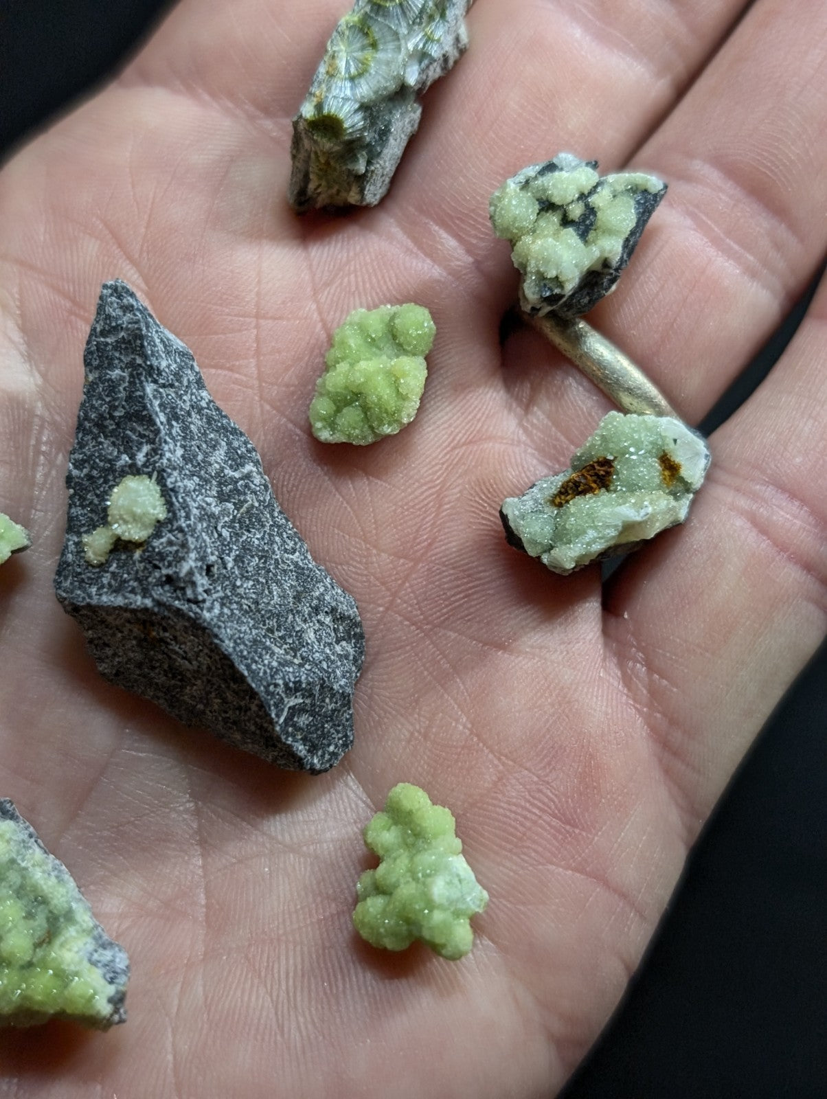 Hand holding a collection of green and gray mineral specimens, including crystalline formations with a rough texture.