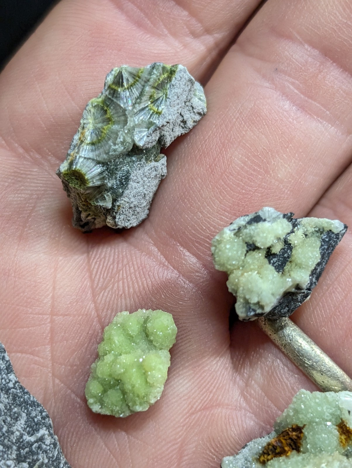 A hand holds three distinct mineral specimens: one with a gray matrix and green, radiating crystal formations; another featuring pale green, clustered crystals on dark rock; and the smallest is also composed of light green, rounded crystalline growths.
