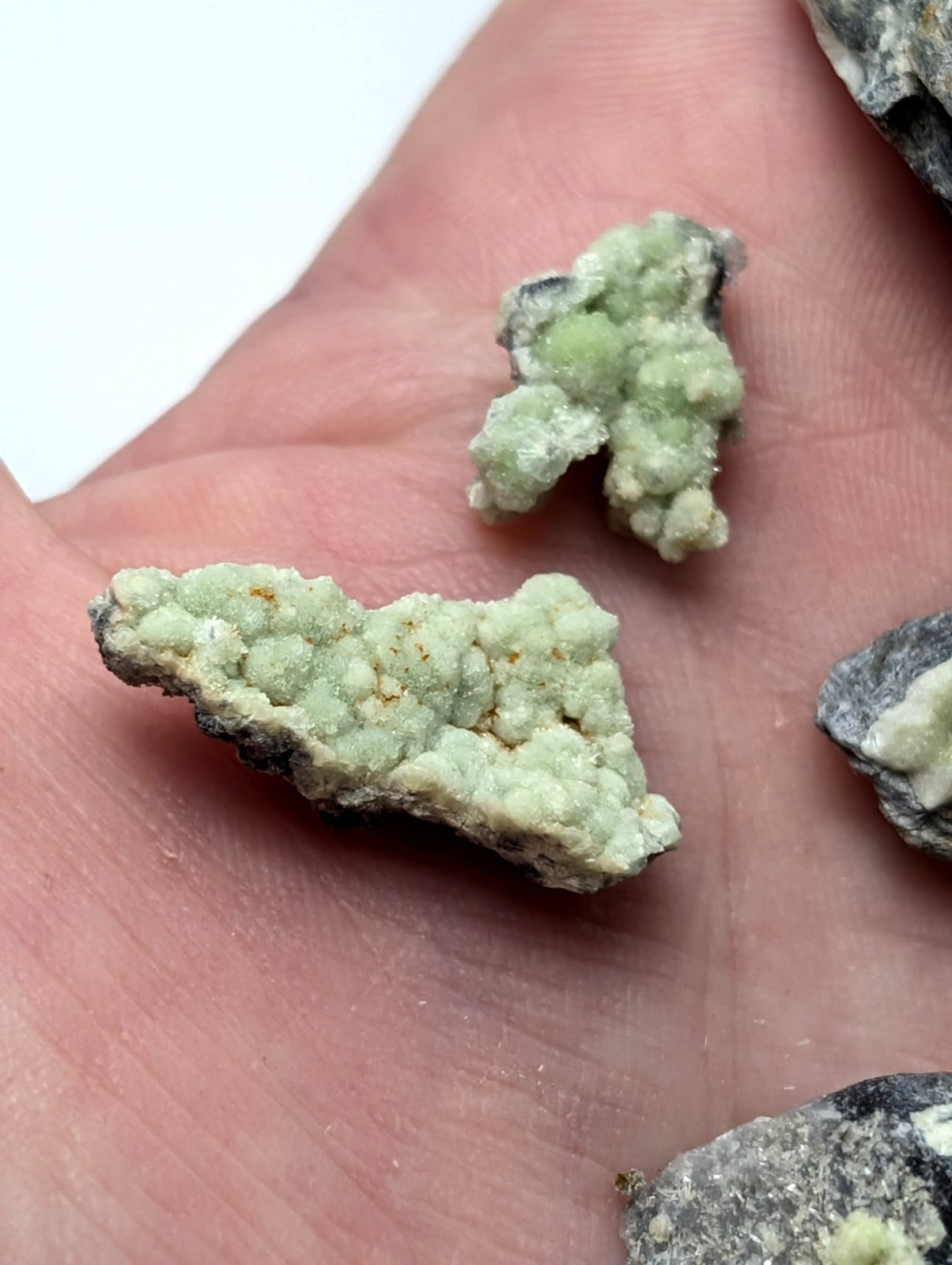 Light green, bumpy mineral specimens with a rough texture and darkened edges.