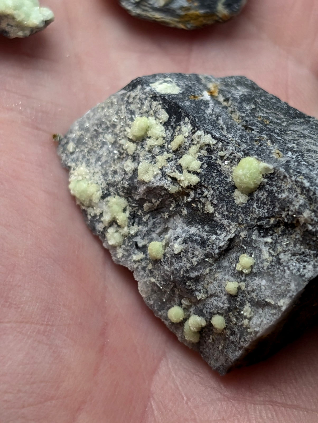 A dark gray rock with small, light green crystalline formations scattered across its surface.