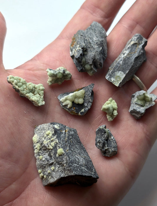 A hand holds a collection of dark gray rock fragments, each adorned with patches and clusters of light green mineral formations.