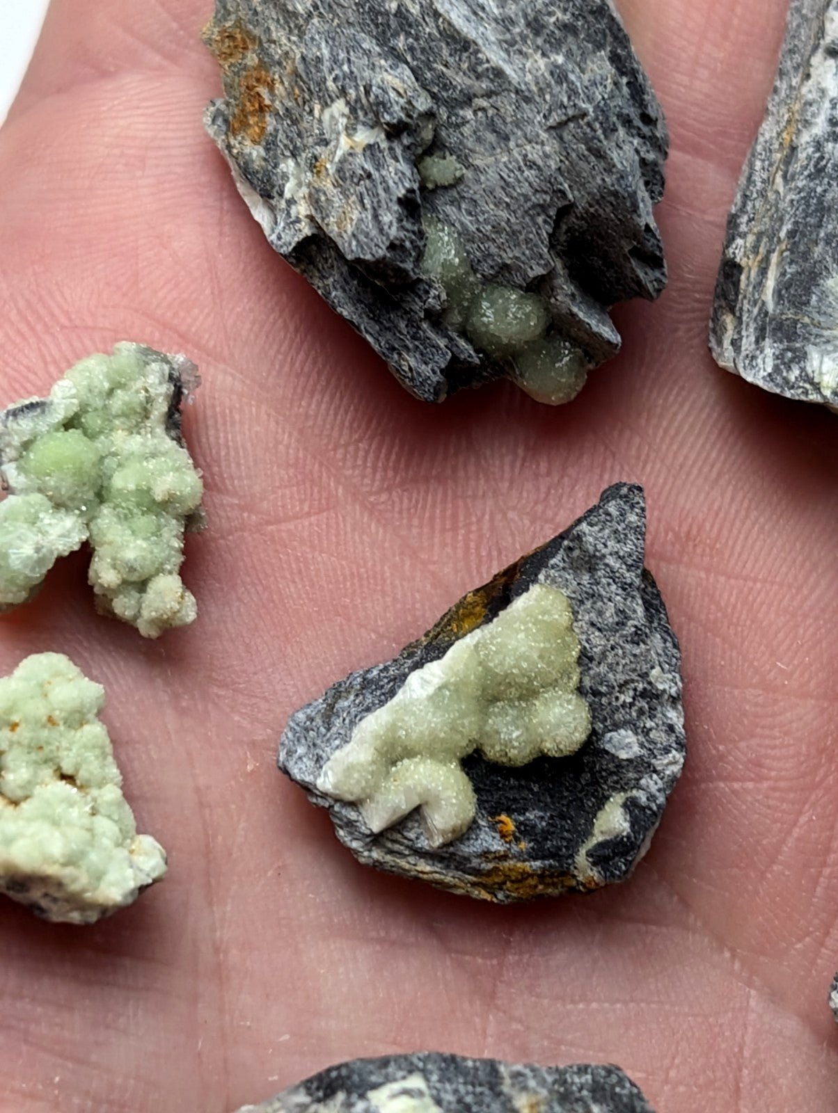 Gray rock specimens featuring light green, crystalline mineral formations.