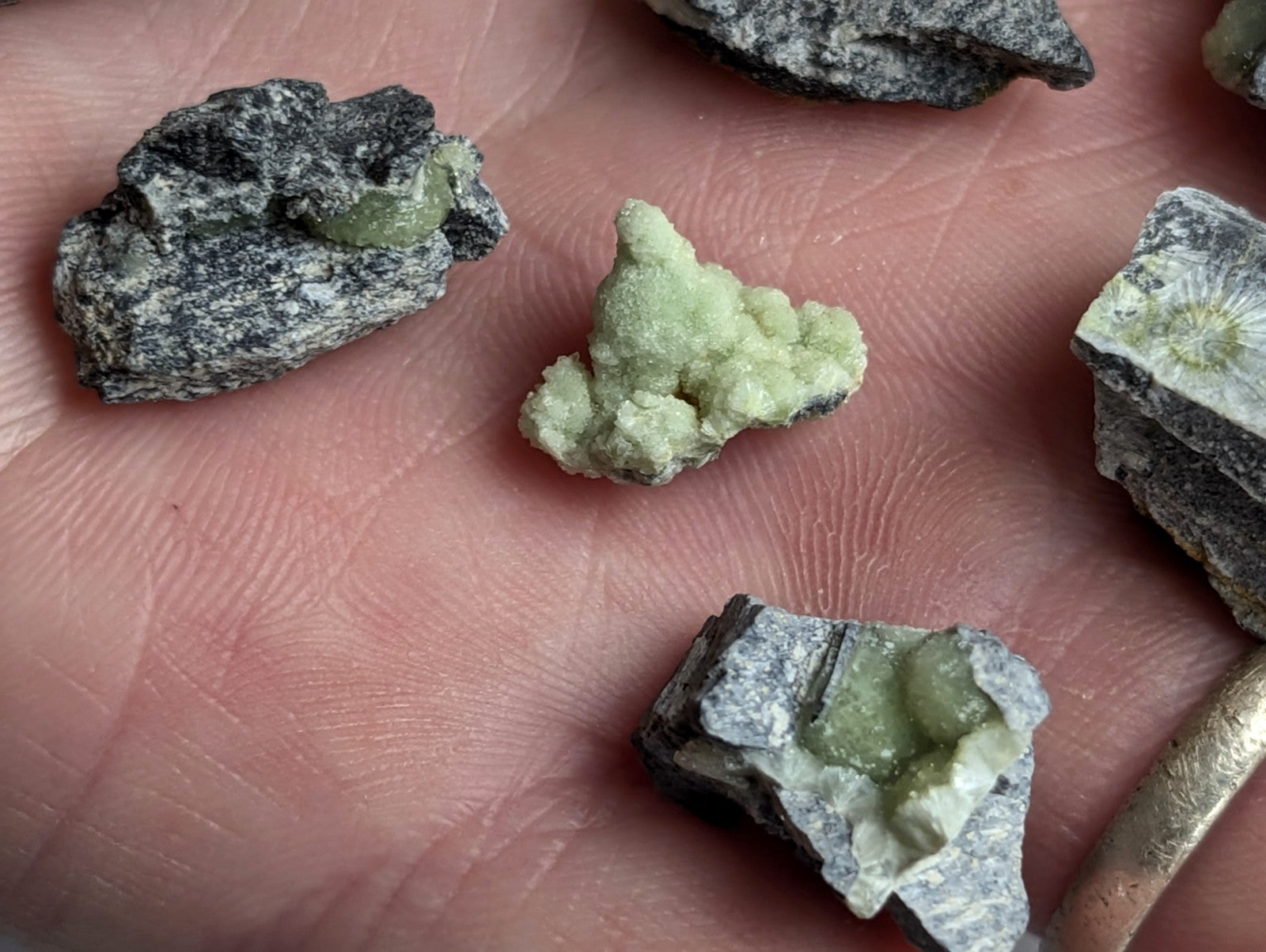 A cluster of light green, crystalline minerals nestled within dark gray rock fragments.