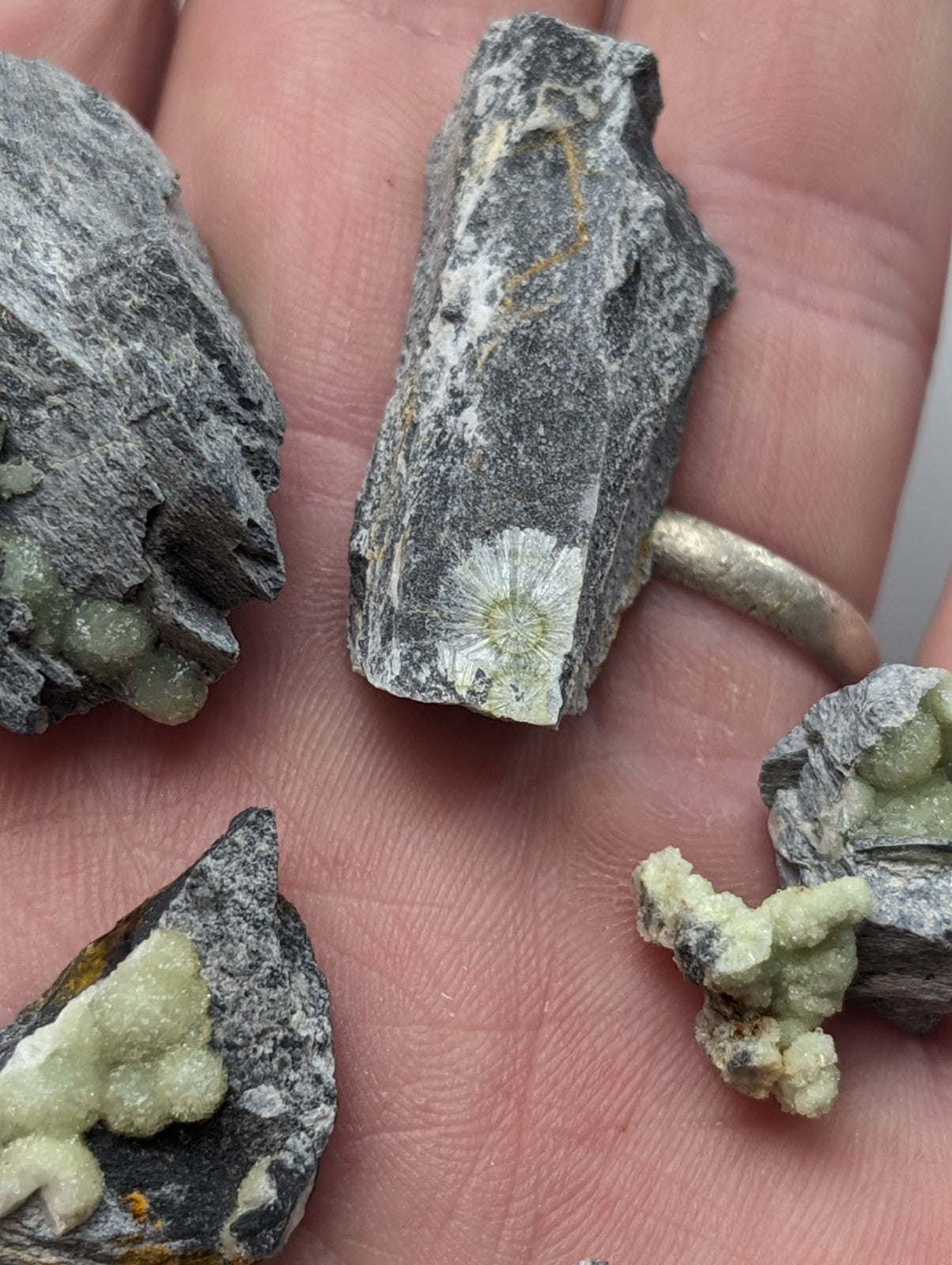 Gray rock specimens with light green mineral formations.