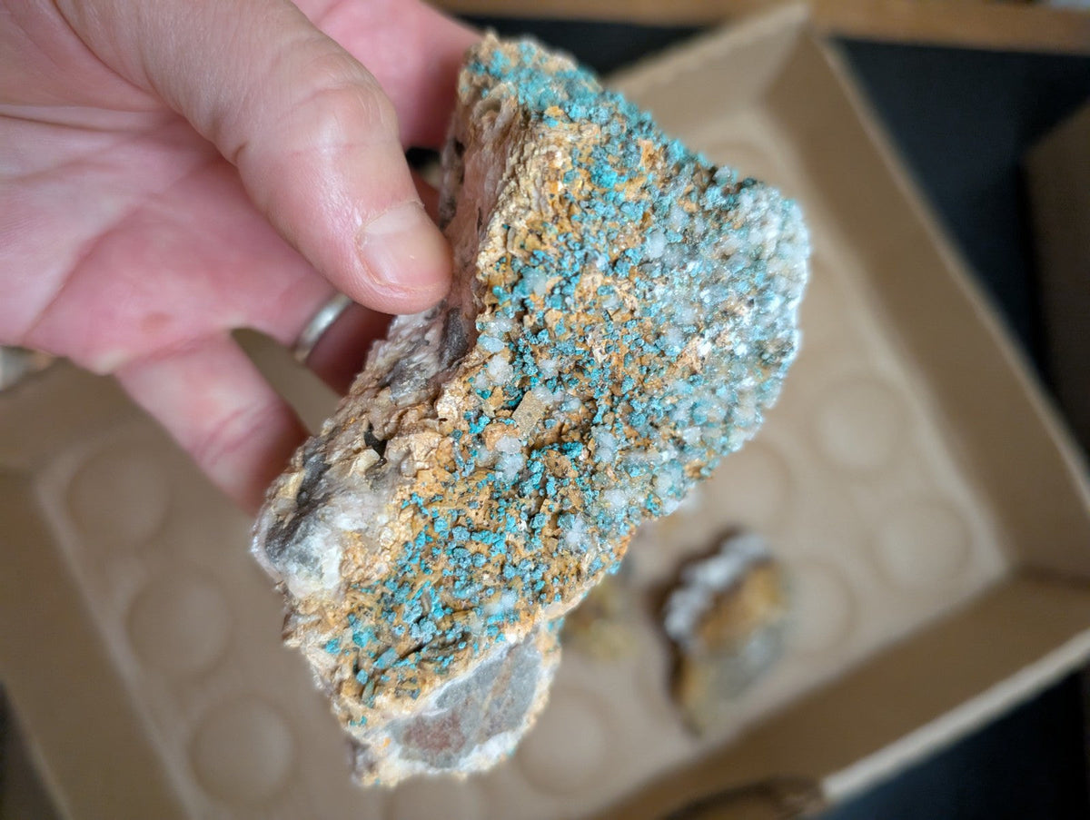 OOAK Set of Mineral Specimens from Rush Mining District Arkansas USA,Old Stock - Collectibles:Rocks Fossils &