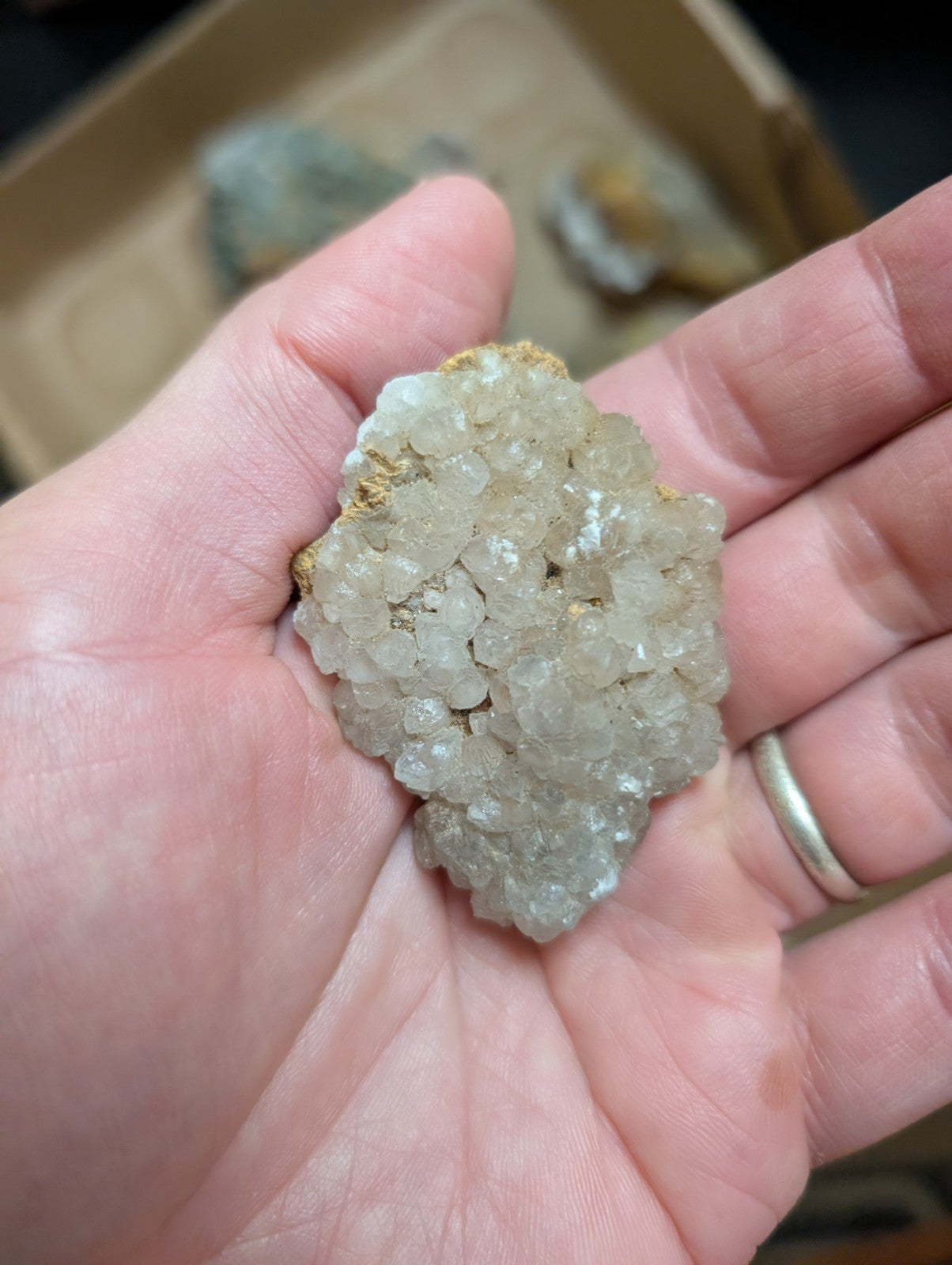 OOAK Set of Mineral Specimens from Rush Mining District Arkansas USA,Old Stock - Collectibles:Rocks Fossils &