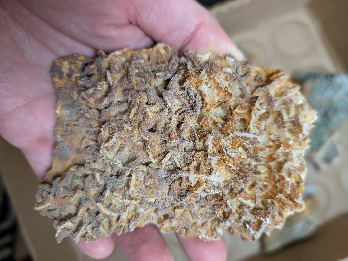 OOAK Set of Mineral Specimens from Rush Mining District Arkansas USA,Old Stock - Collectibles:Rocks Fossils &