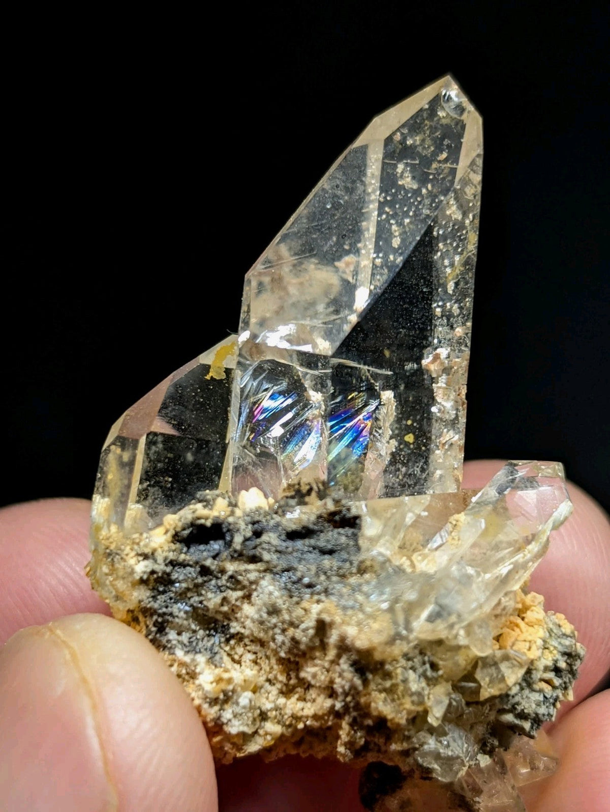 A clear quartz crystal cluster with a prominent, faceted point and iridescent internal reflections set against a dark matrix.