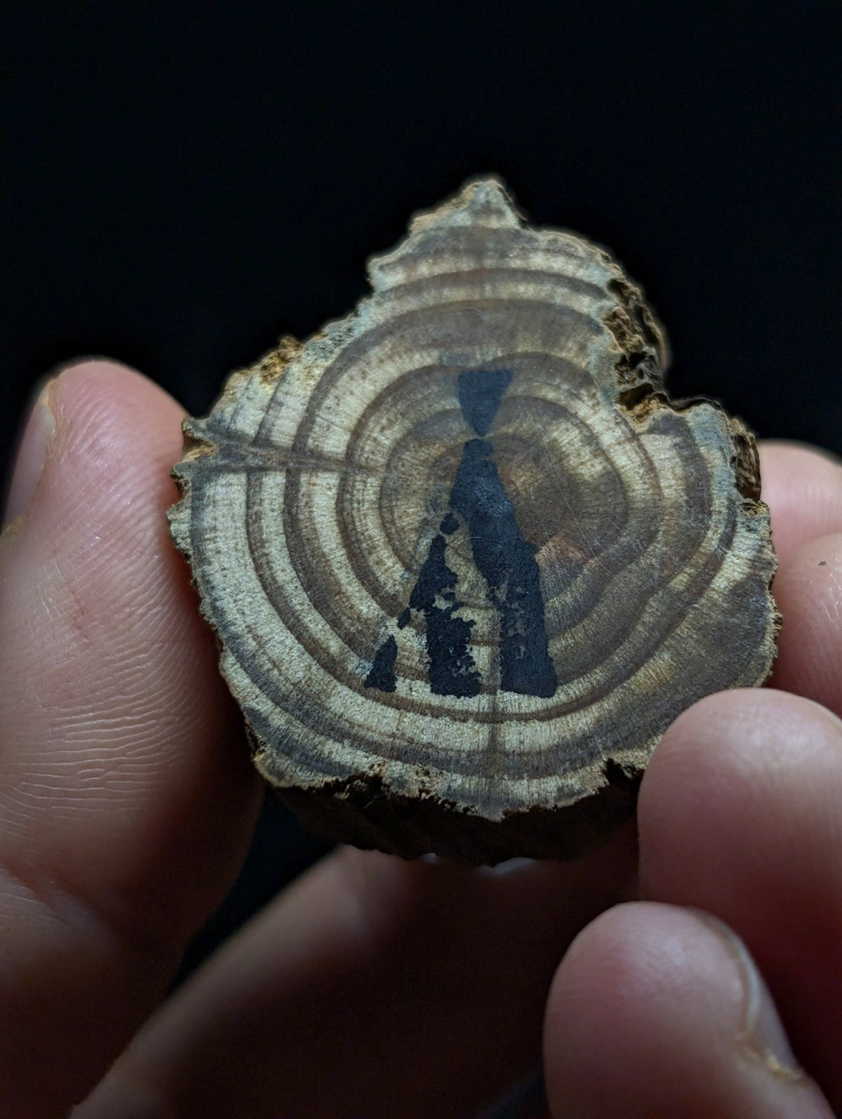 A rustic, circular wood slice with visible growth rings and a dark blue painted silhouette of two figures.