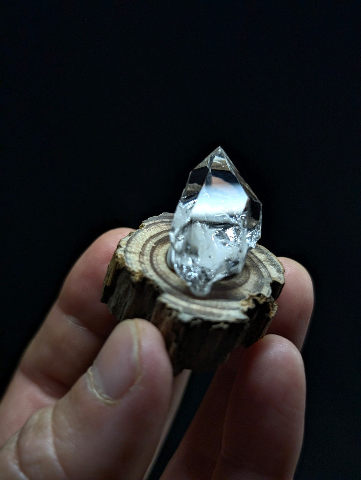 A clear, faceted quartz crystal with a pointed tip rests atop a rustic wooden slice.