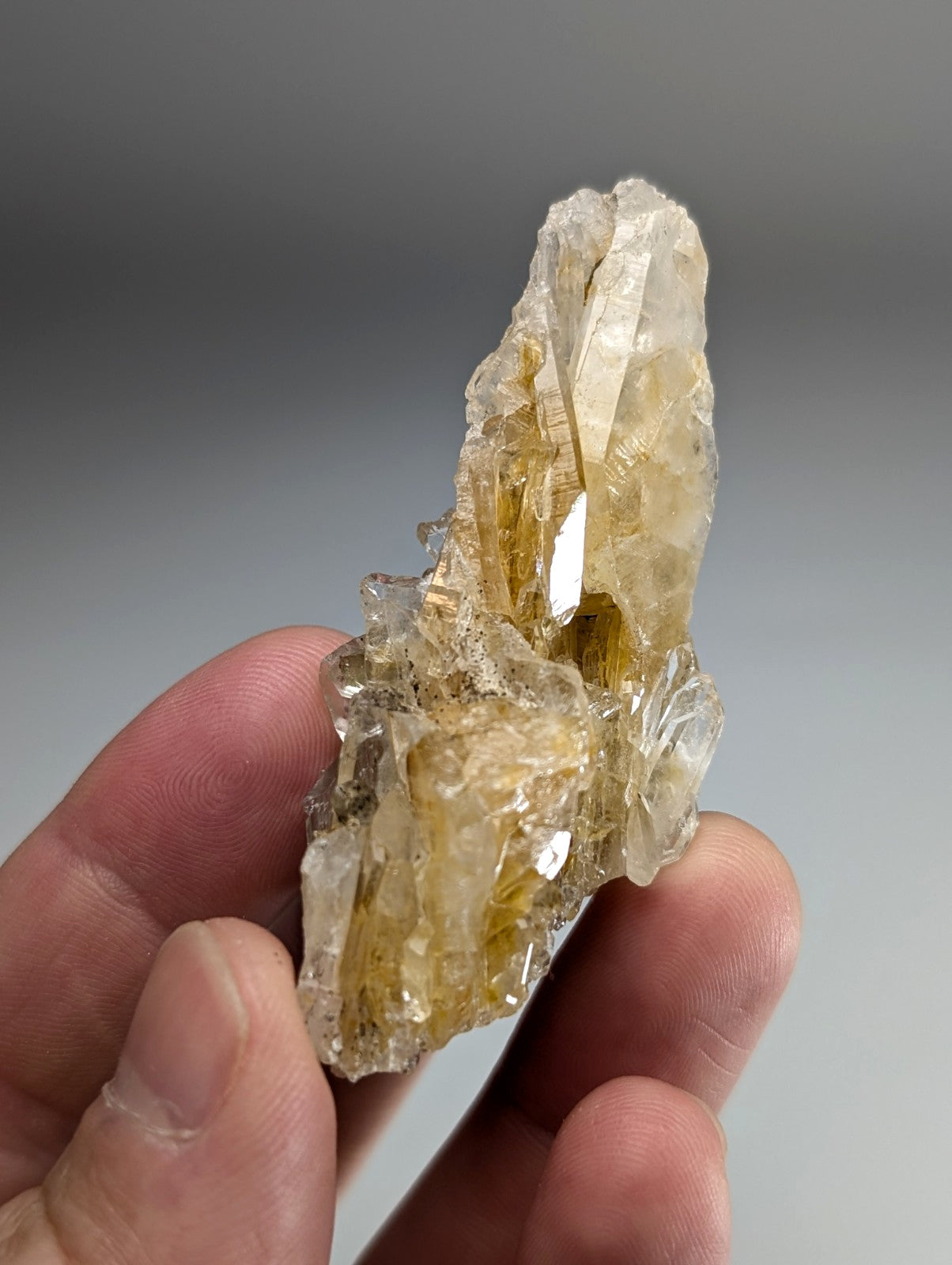 A translucent yellowish parallel growth quartz crystal cluster with rough jagged surface and internal striations from saline county arkansas usa