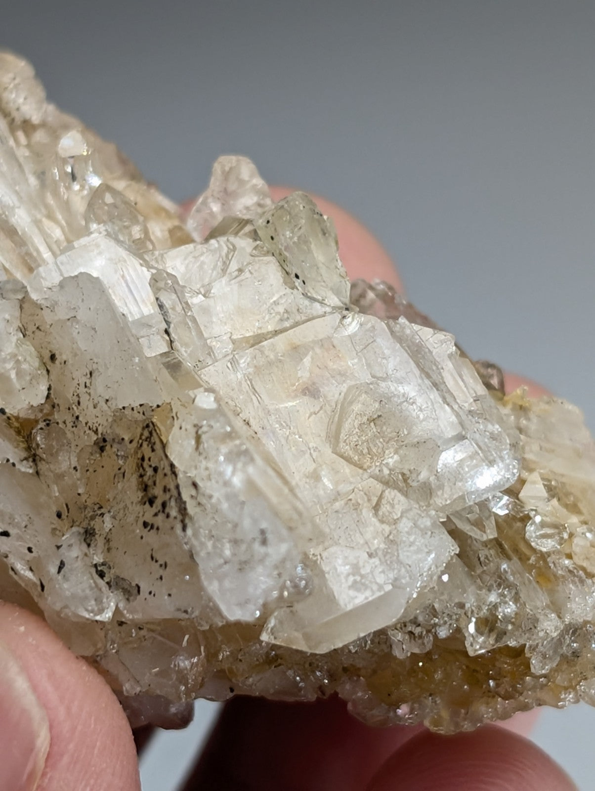 A cluster of clear quartz crystals with golden hues and dark speckles on a rough matrix from Arkansas usa