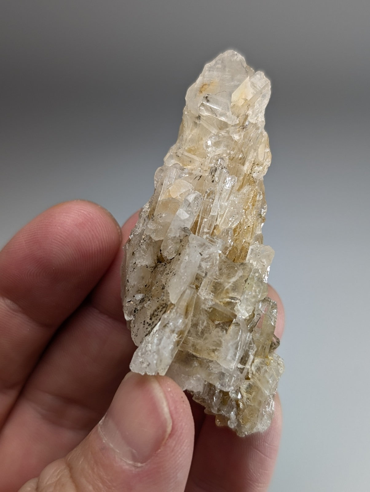 A translucent pale yellowish parallel growth quartz crystal cluster with clear facets and golden streaks from Arkansas usa
