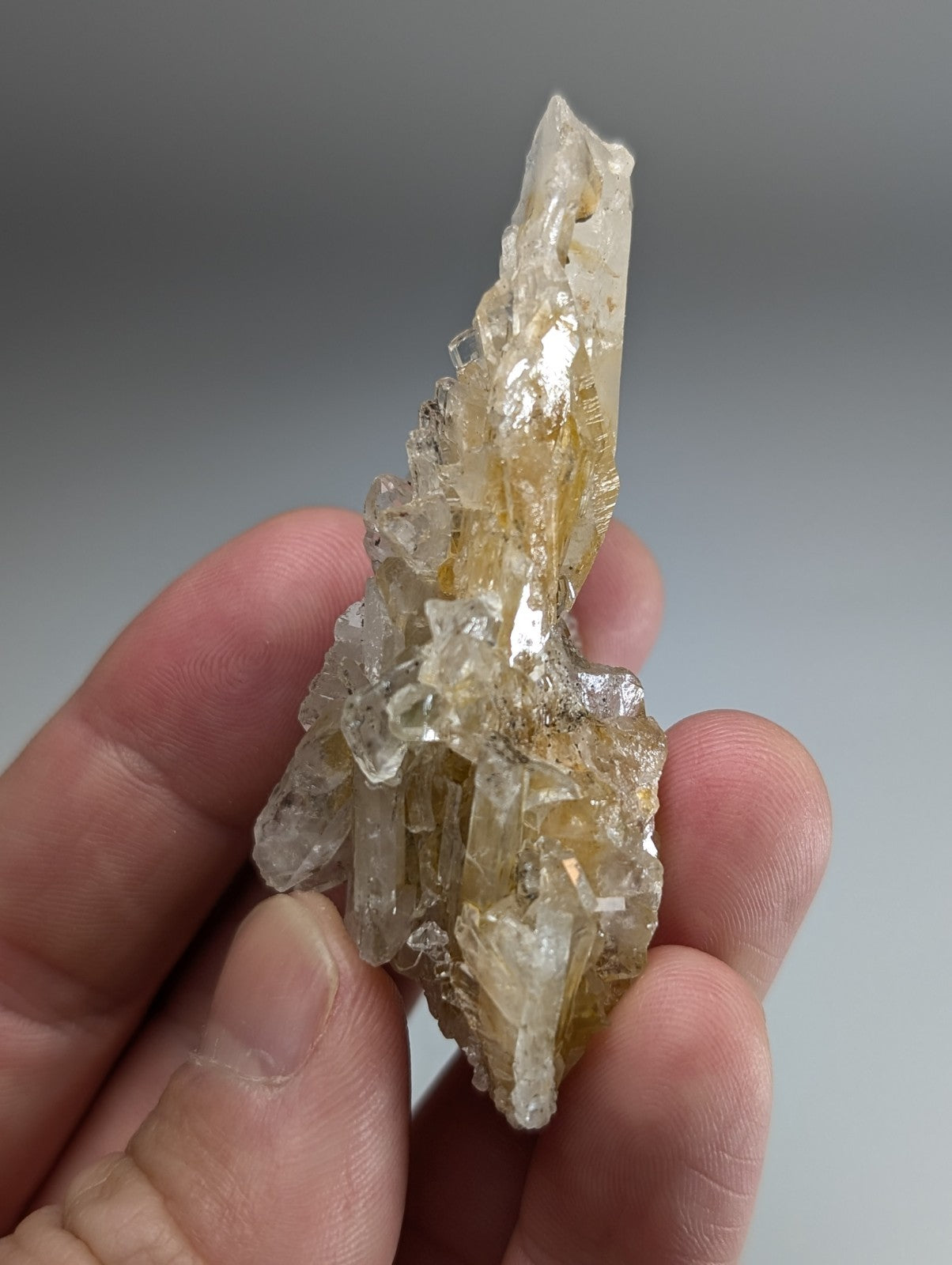 Parallel growth quartz crystal cluster with translucent yellowish faceted points and rough base from Saline County Arkansas