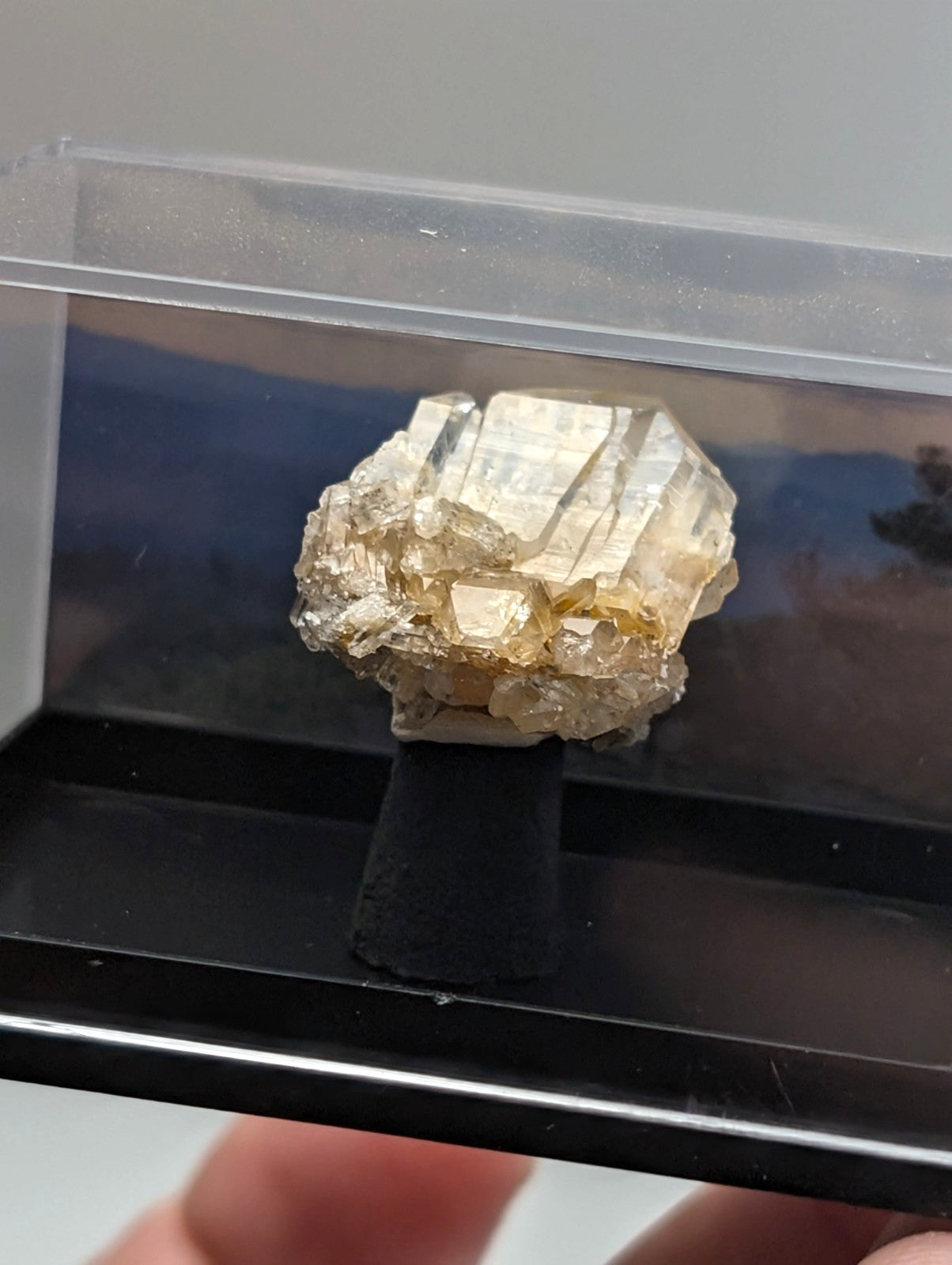 A translucent golden-yellow mineral specimen with crystalline facets, displayed in a clear protective case.