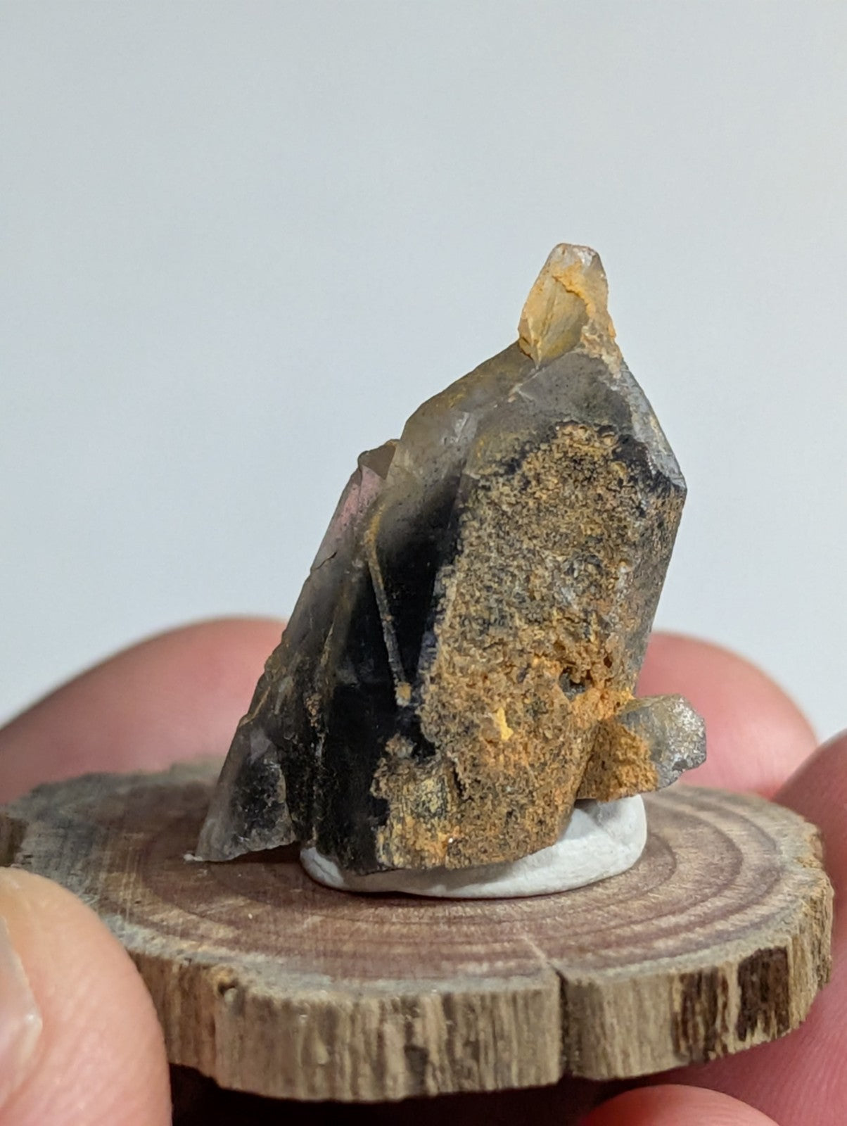 A dark, translucent crystal with a rough, earthy base and sharp facets.