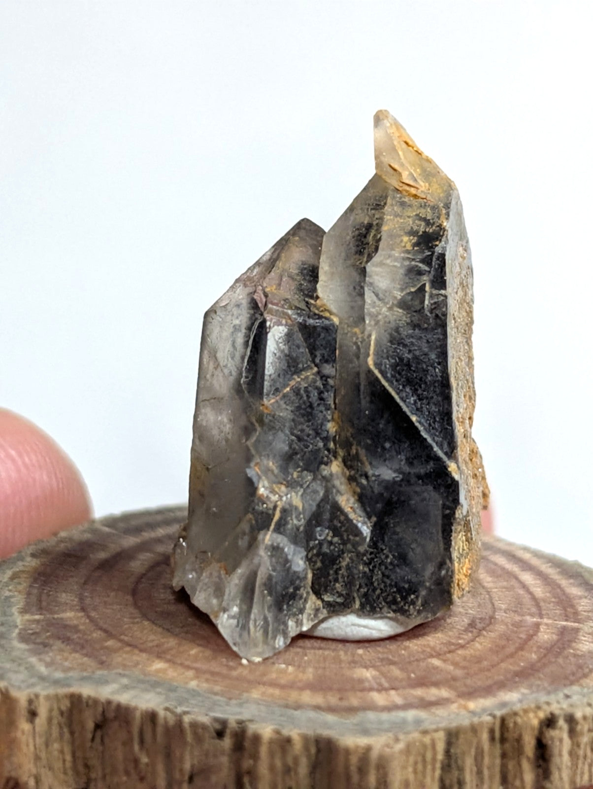 A dark, translucent smoky quartz crystal with golden inclusions and sharp facets.